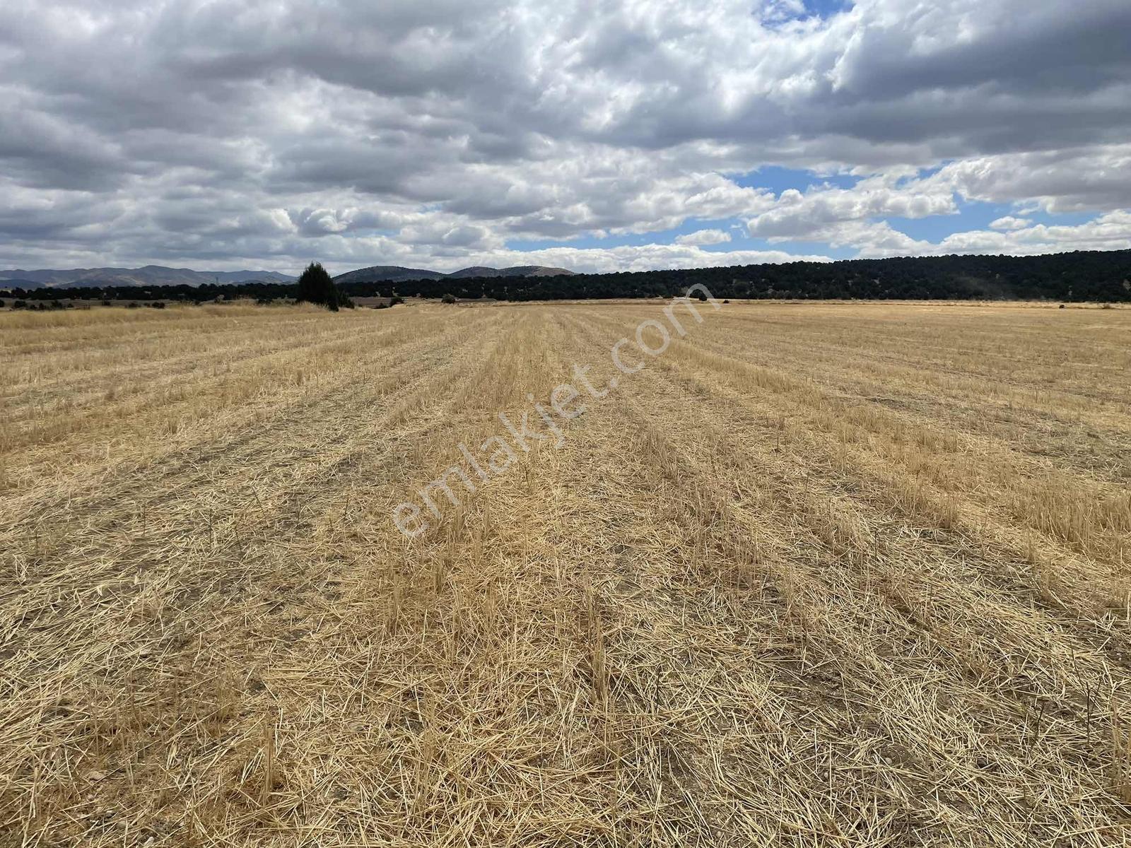 İmar Sınırında 32.600 M2 Dev Arazi Hızlı Tren Ve Ana Yola Yakın — fotoğraf 32