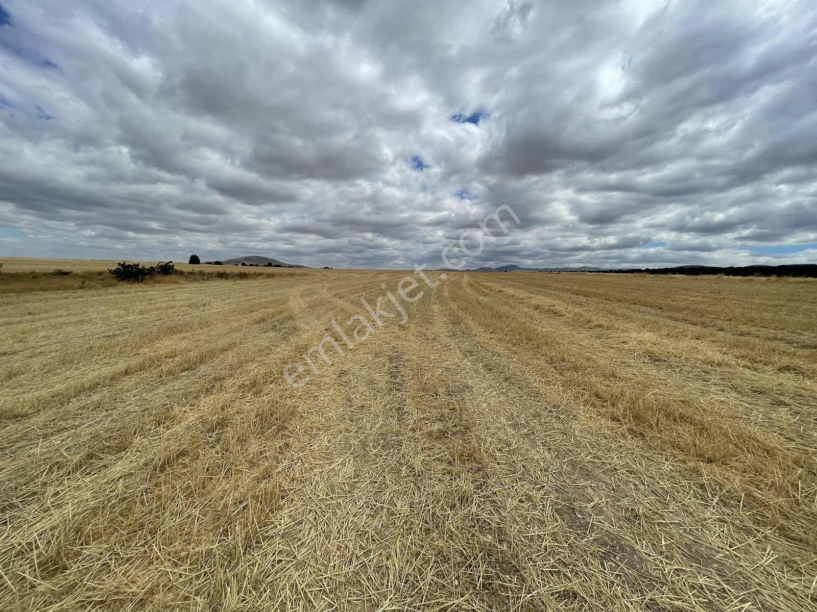 İmar Sınırında 32.600 M2 Dev Arazi Hızlı Tren Ve Ana Yola Yakın — fotoğraf 33