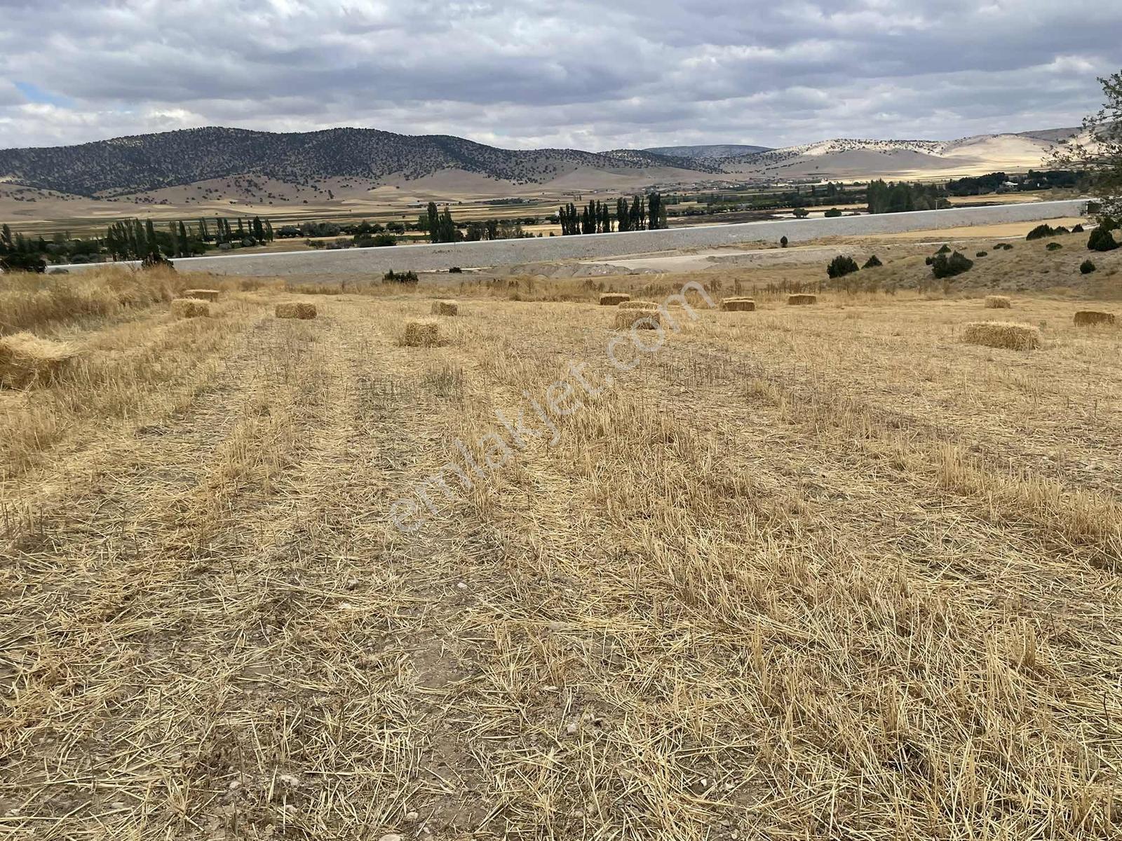 İmar Sınırında 32.600 M2 Dev Arazi Hızlı Tren Ve Ana Yola Yakın — fotoğraf 34