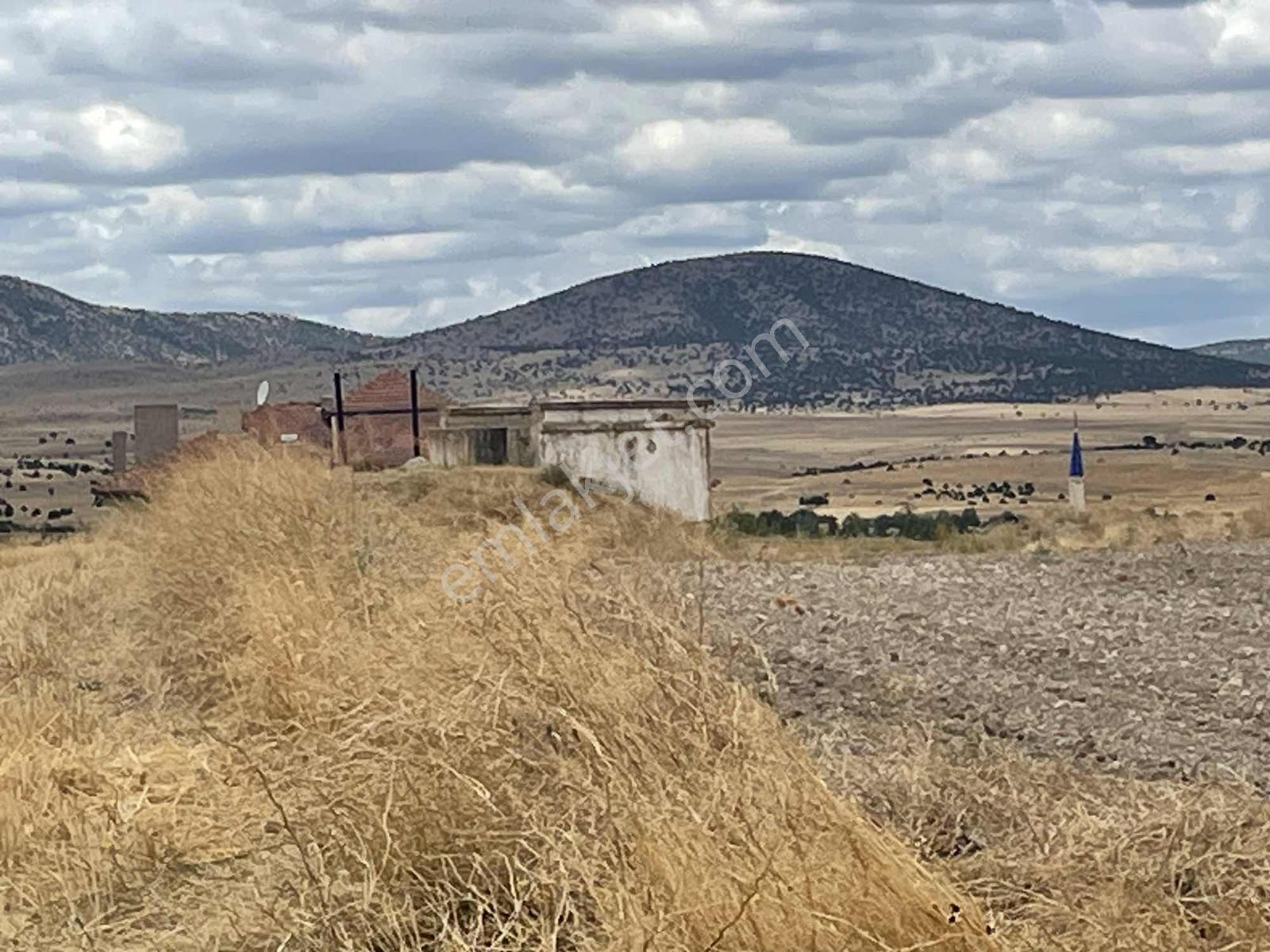 İmar Sınırında 32.600 M2 Dev Arazi Hızlı Tren Ve Ana Yola Yakın — fotoğraf 35