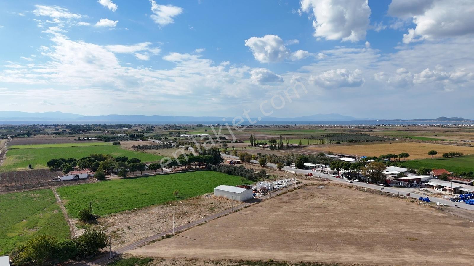 Altınova İskele Yolu Üzeri İmar Sınırında Fırsat Tarla — fotoğraf 2