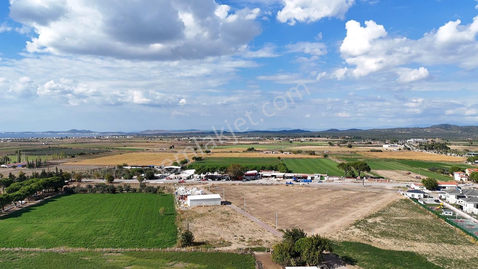 Altınova İskele Yolu Üzeri İmar Sınırında Fırsat Tarla — fotoğraf 3