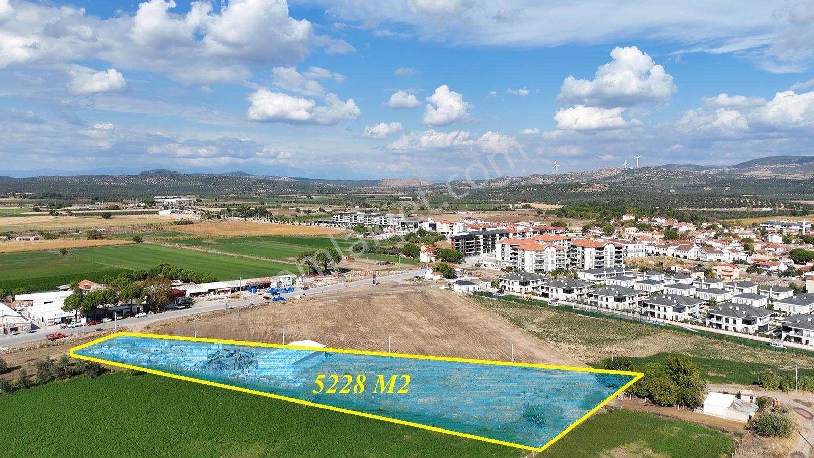 Altınova İskele Yolu Üzeri İmar Sınırında Fırsat Tarla — fotoğraf 4