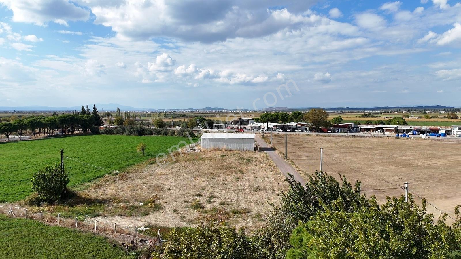 Altınova İskele Yolu Üzeri İmar Sınırında Fırsat Tarla — fotoğraf 12