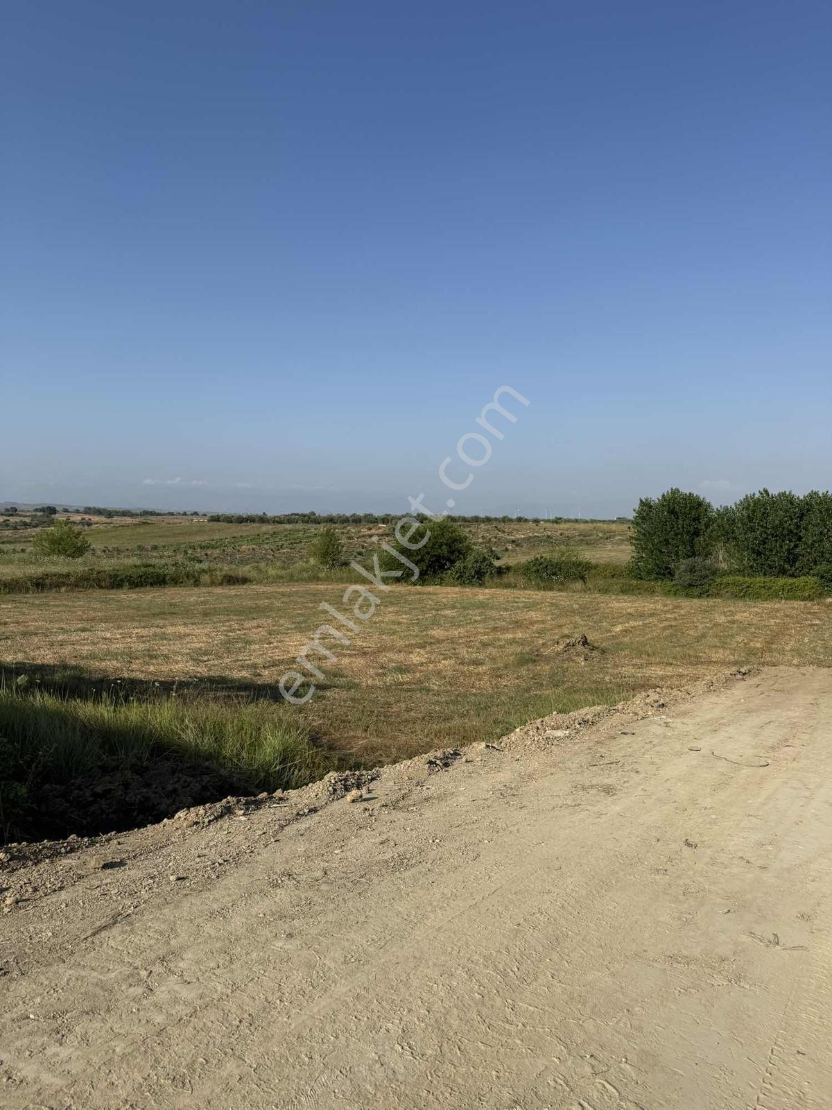 Çolaklı Yerleşim Merkezinde 530m2 Arsa — fotoğraf 10