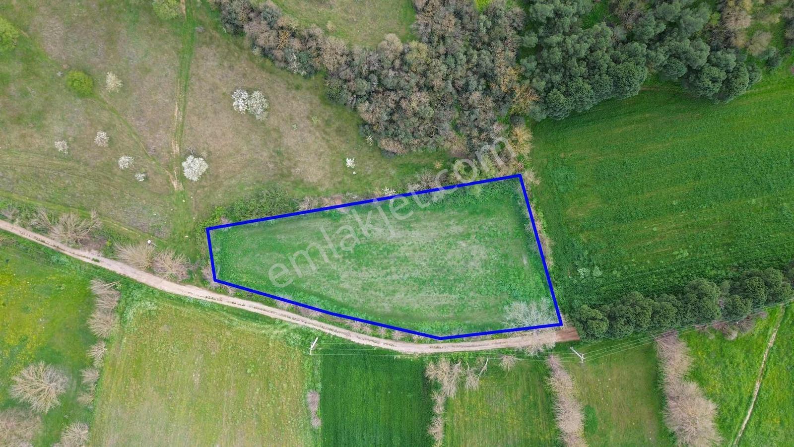 Norm' Dan Yıldız Mahallesinde 2.874 M² Satılık Tarla — fotoğraf 3