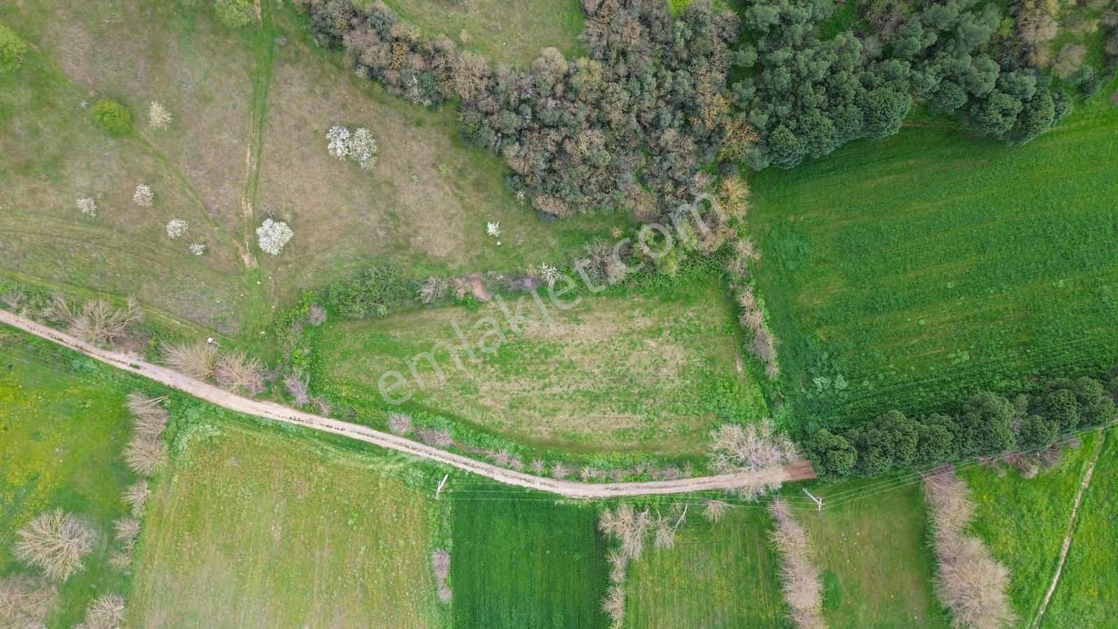 Norm' Dan Yıldız Mahallesinde 2.874 M² Satılık Tarla — fotoğraf 12
