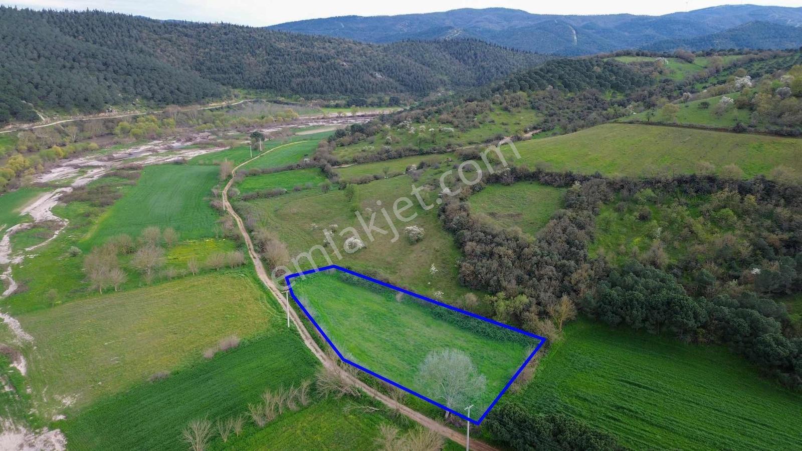 Norm' Dan Yıldız Mahallesinde 2.874 M² Satılık Tarla — fotoğraf 13