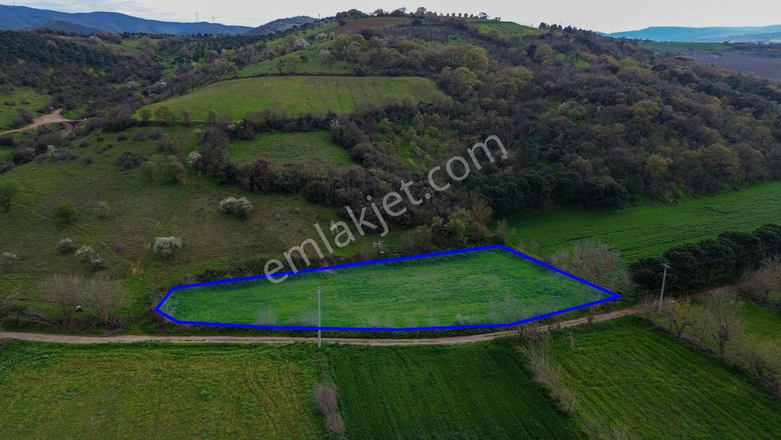 Norm' Dan Yıldız Mahallesinde 2.874 M² Satılık Tarla — fotoğraf 14