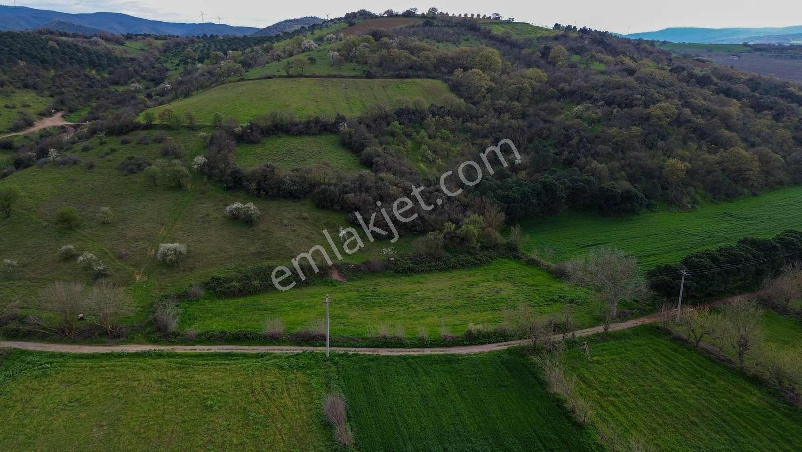 Norm' Dan Yıldız Mahallesinde 2.874 M² Satılık Tarla — fotoğraf 15