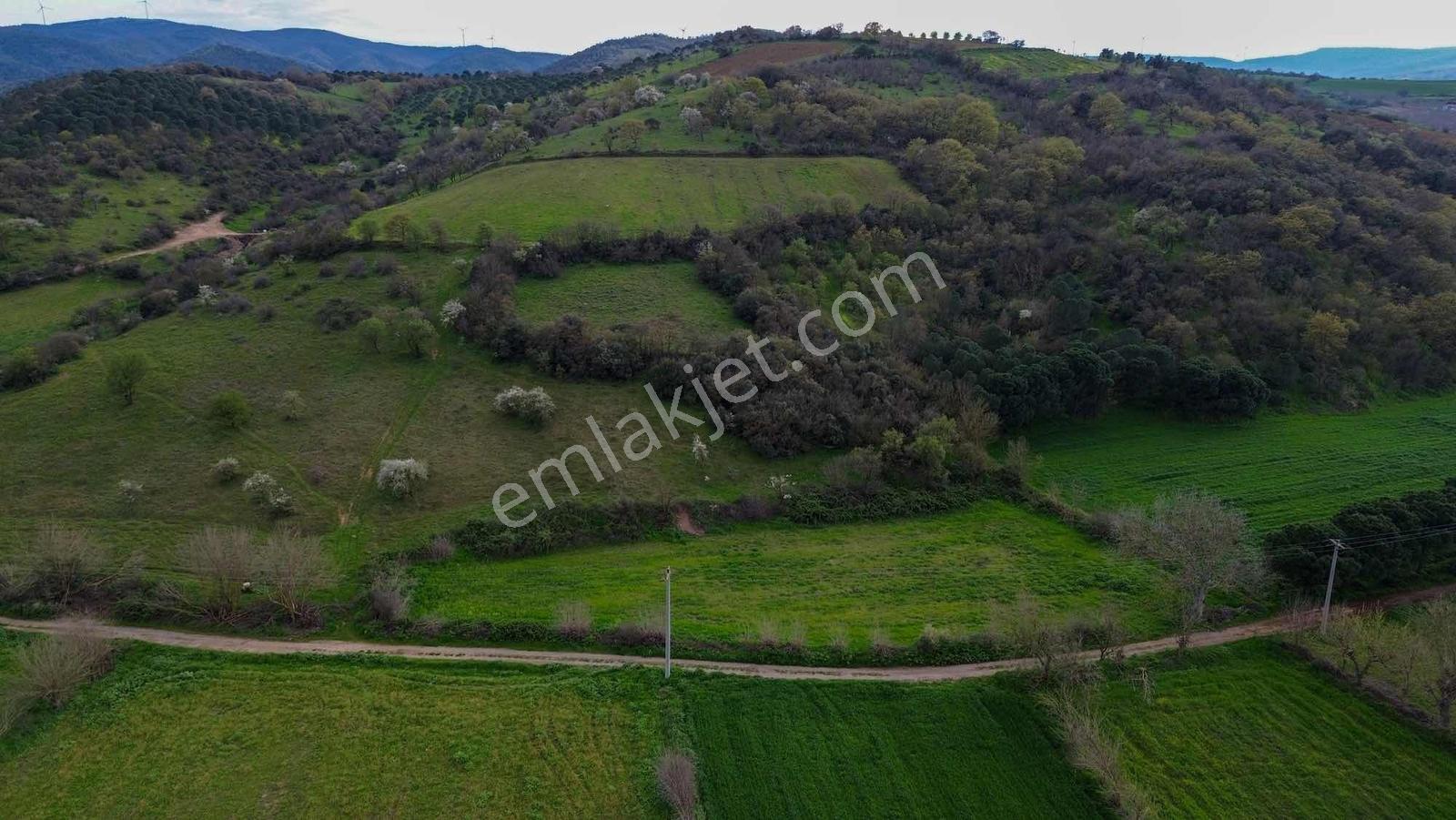 Norm' Dan Yıldız Mahallesinde 2.874 M² Satılık Tarla — fotoğraf 16