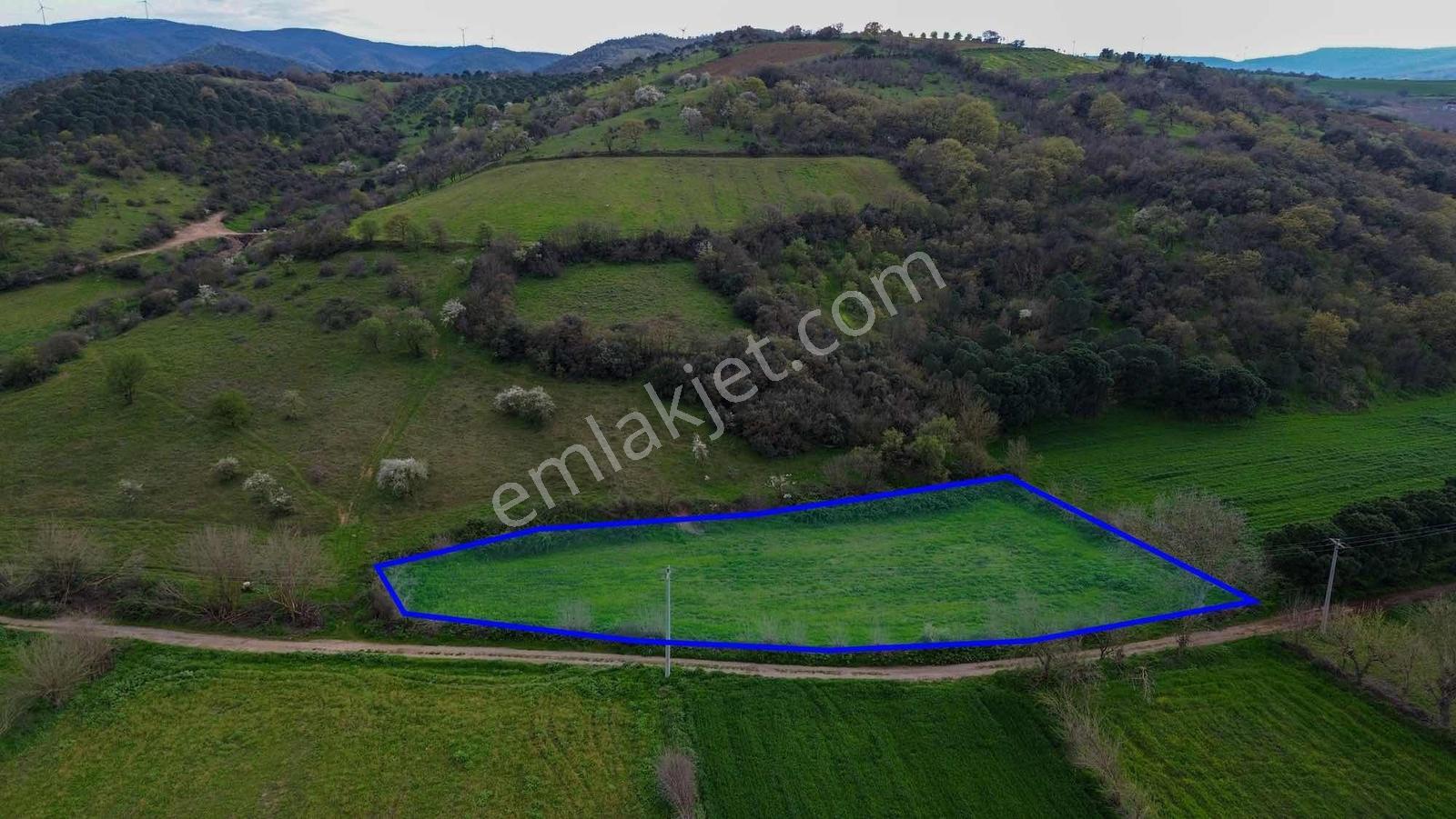 Norm' Dan Yıldız Mahallesinde 2.874 M² Satılık Tarla — fotoğraf 17