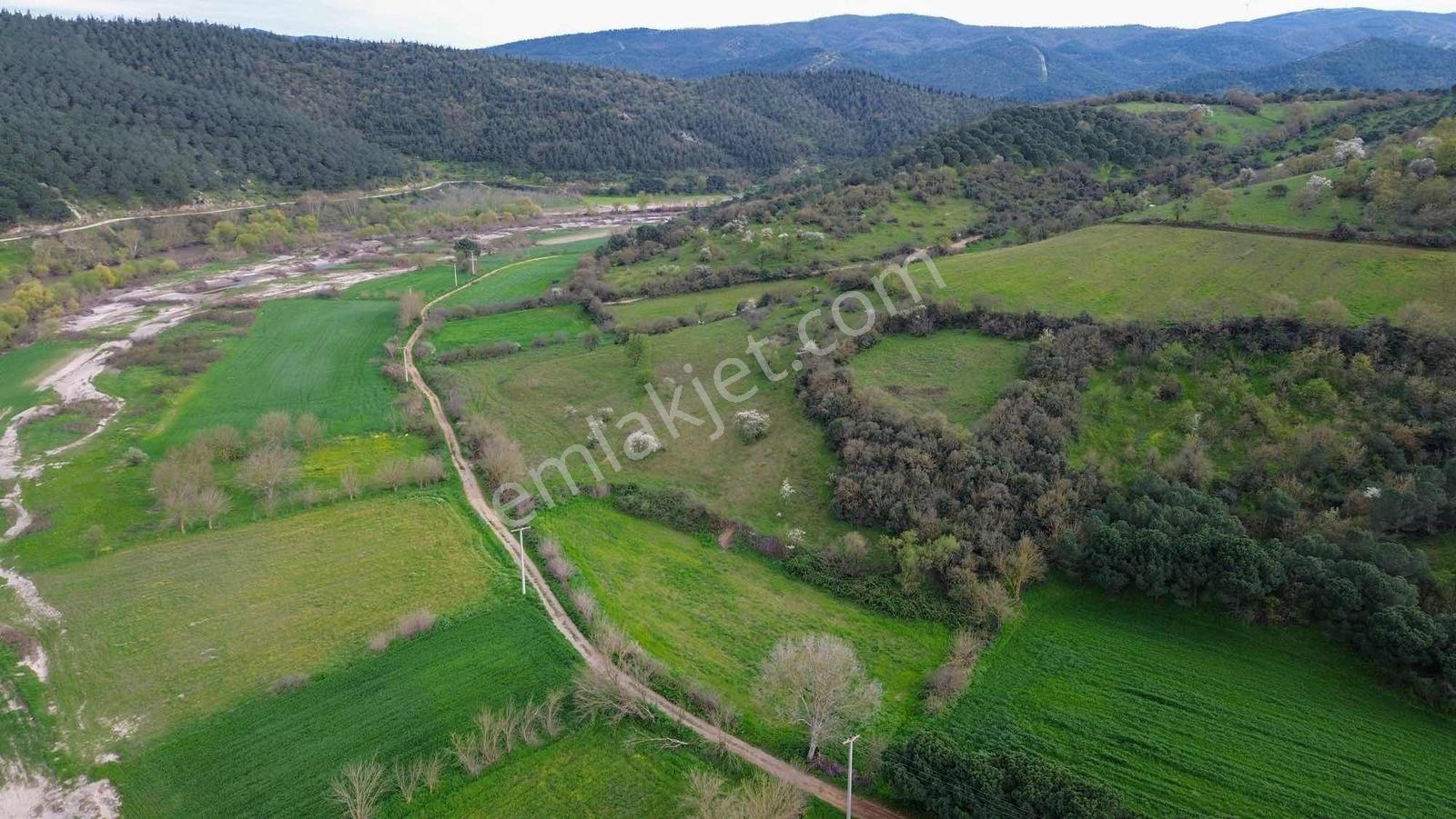 Norm' Dan Yıldız Mahallesinde 2.874 M² Satılık Tarla — fotoğraf 18