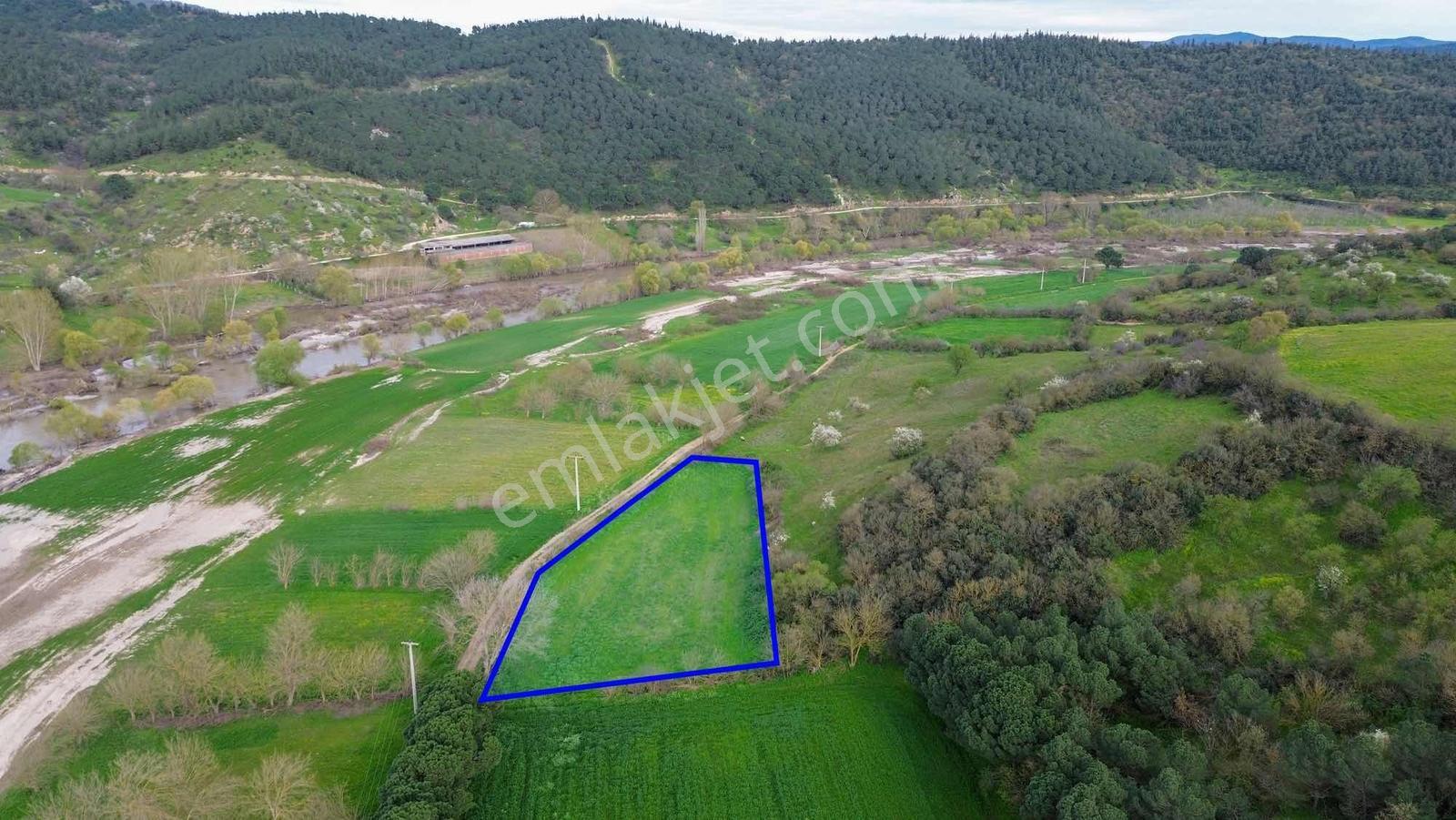 Norm' Dan Yıldız Mahallesinde 2.874 M² Satılık Tarla — fotoğraf 20