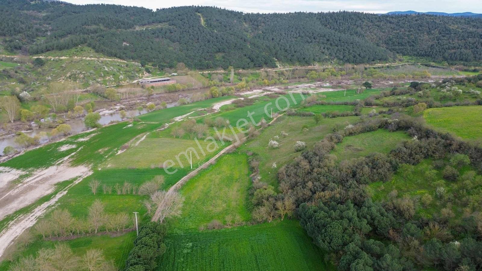 Norm' Dan Yıldız Mahallesinde 2.874 M² Satılık Tarla — fotoğraf 21
