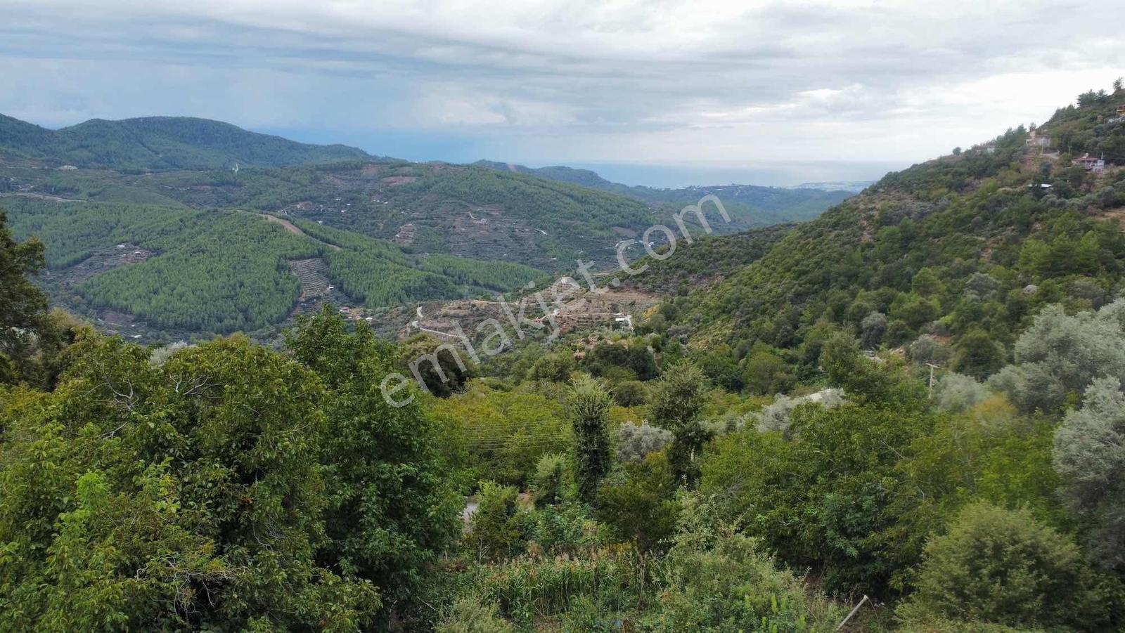 Yola 2. Parsel Full Deniz Manzaralı Masrafsız Kelepir Tarla — fotoğraf 3