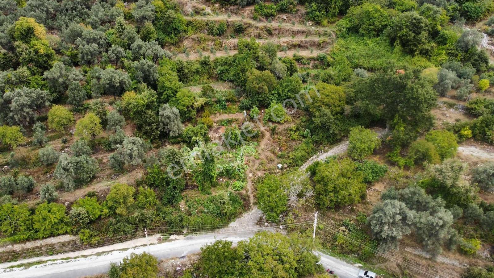 Yola 2. Parsel Full Deniz Manzaralı Masrafsız Kelepir Tarla — fotoğraf 5