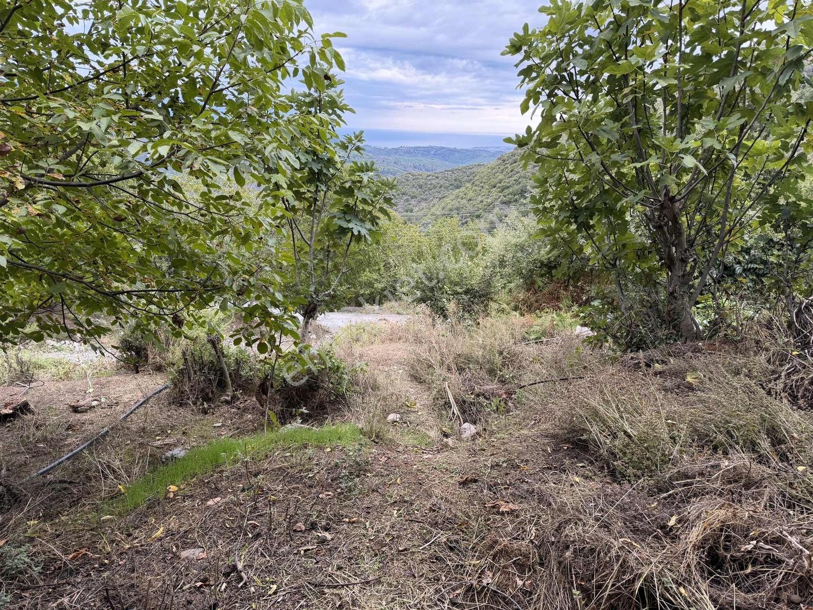 Yola 2. Parsel Full Deniz Manzaralı Masrafsız Kelepir Tarla — fotoğraf 8