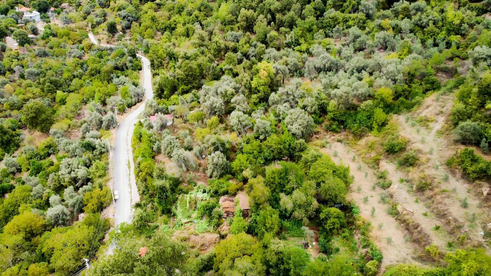 Yola 2. Parsel Full Deniz Manzaralı Masrafsız Kelepir Tarla — fotoğraf 11