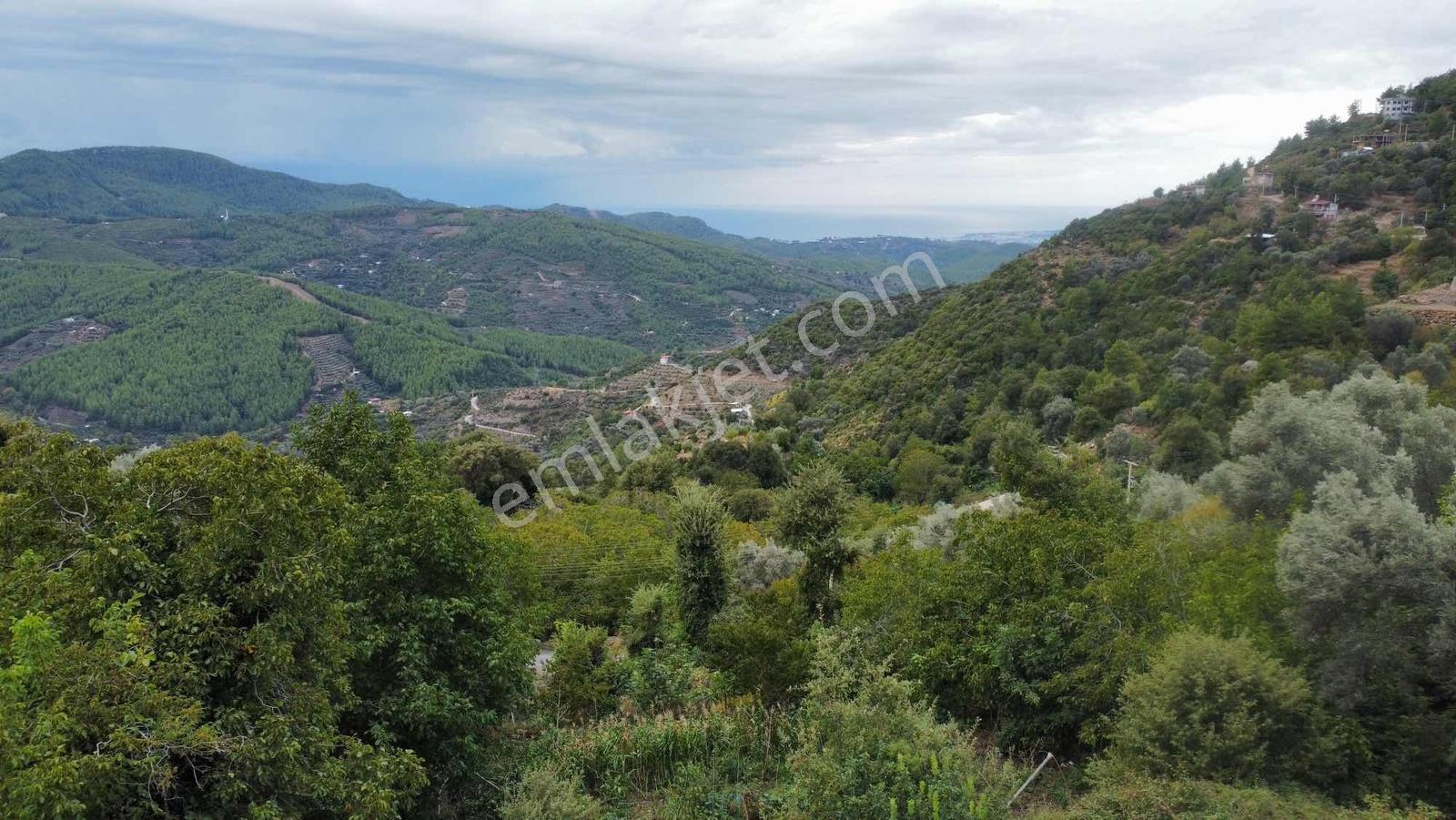 Yola 2. Parsel Full Deniz Manzaralı Masrafsız Kelepir Tarla — fotoğraf 14