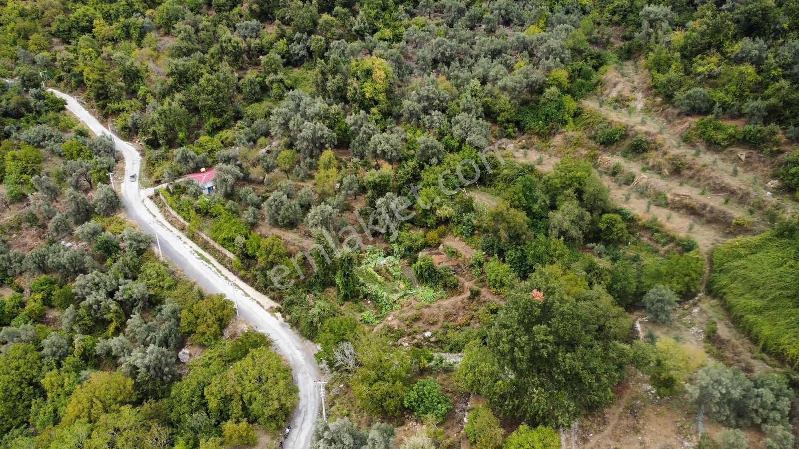 Yola 2. Parsel Full Deniz Manzaralı Masrafsız Kelepir Tarla — fotoğraf 16