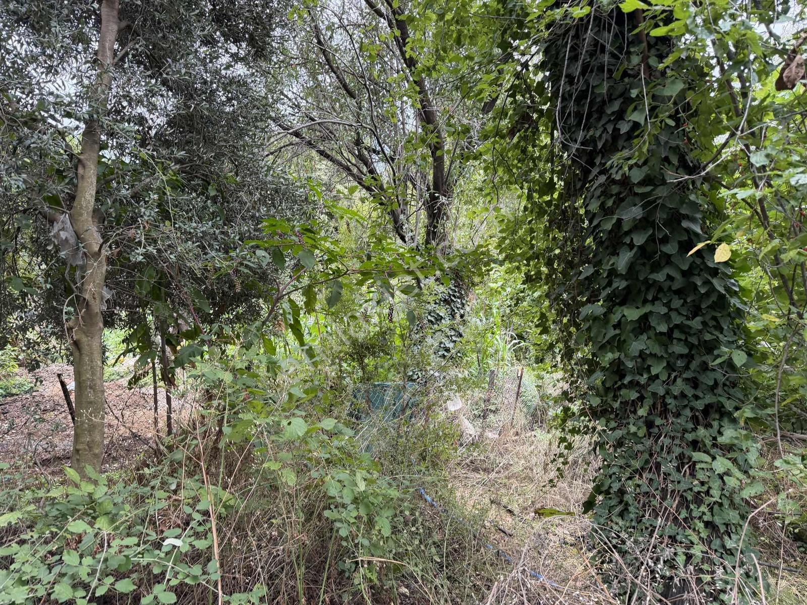 Yola 2. Parsel Full Deniz Manzaralı Masrafsız Kelepir Tarla — fotoğraf 17