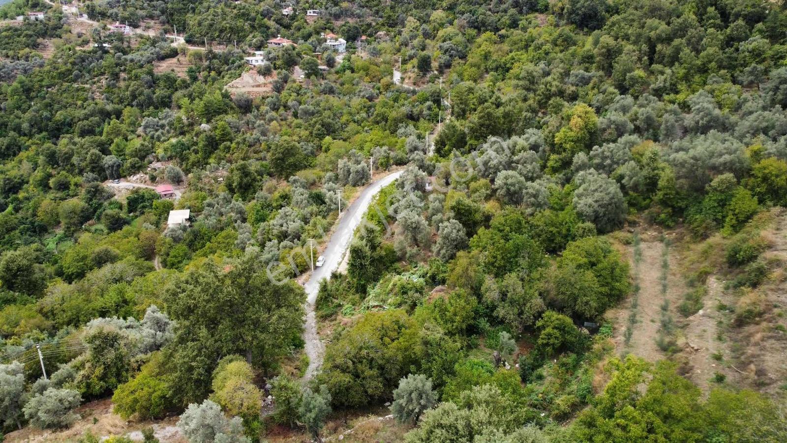 Yola 2. Parsel Full Deniz Manzaralı Masrafsız Kelepir Tarla — fotoğraf 18