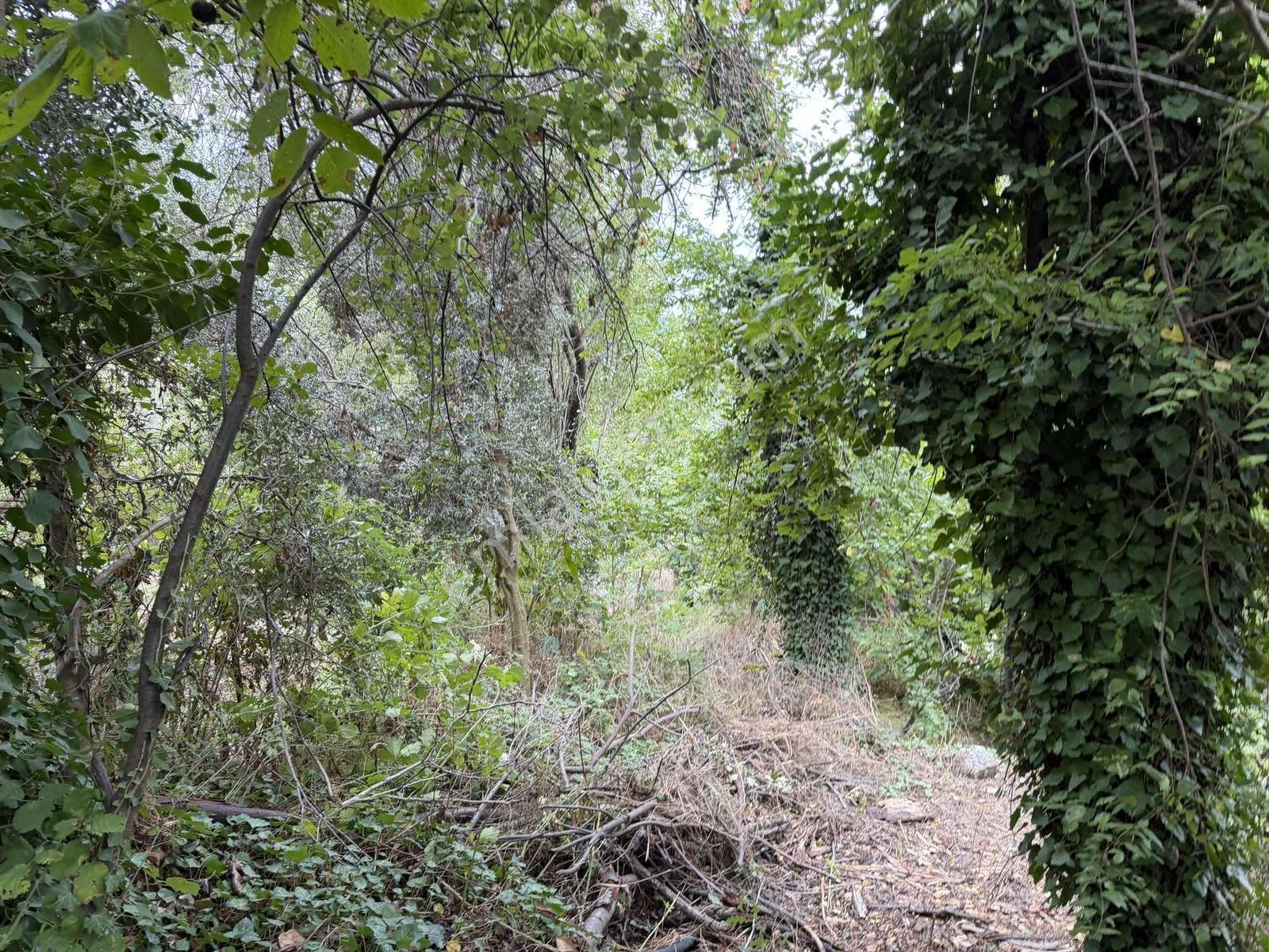 Yola 2. Parsel Full Deniz Manzaralı Masrafsız Kelepir Tarla — fotoğraf 19