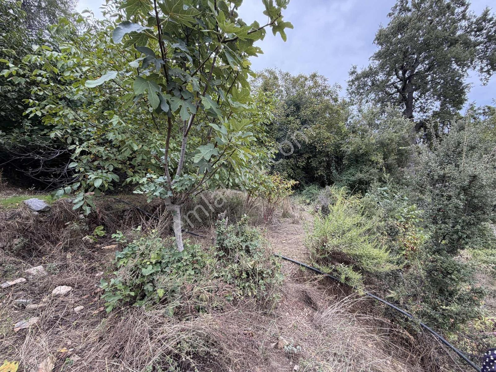 Yola 2. Parsel Full Deniz Manzaralı Masrafsız Kelepir Tarla — fotoğraf 21