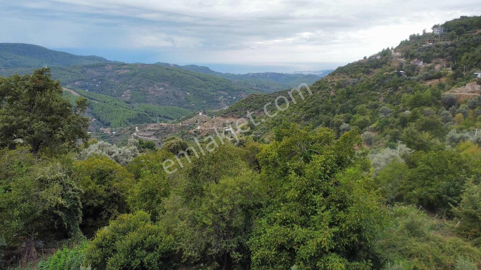 Yola 2. Parsel Full Deniz Manzaralı Masrafsız Kelepir Tarla — fotoğraf 26
