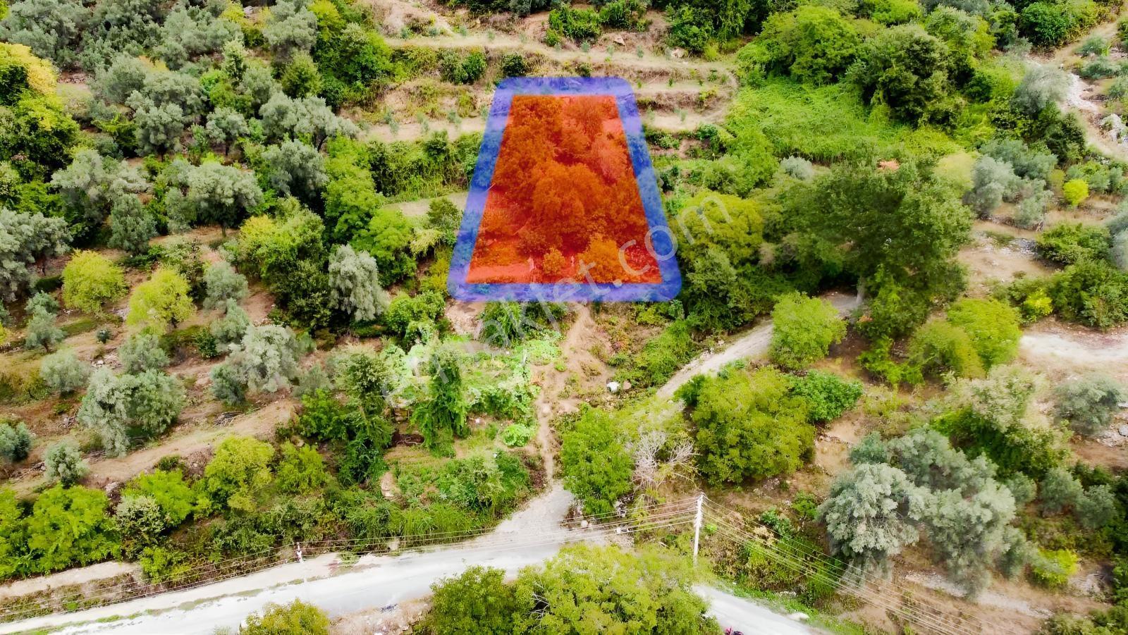 Yola 2. Parsel Full Deniz Manzaralı Masrafsız Kelepir Tarla — fotoğraf 29