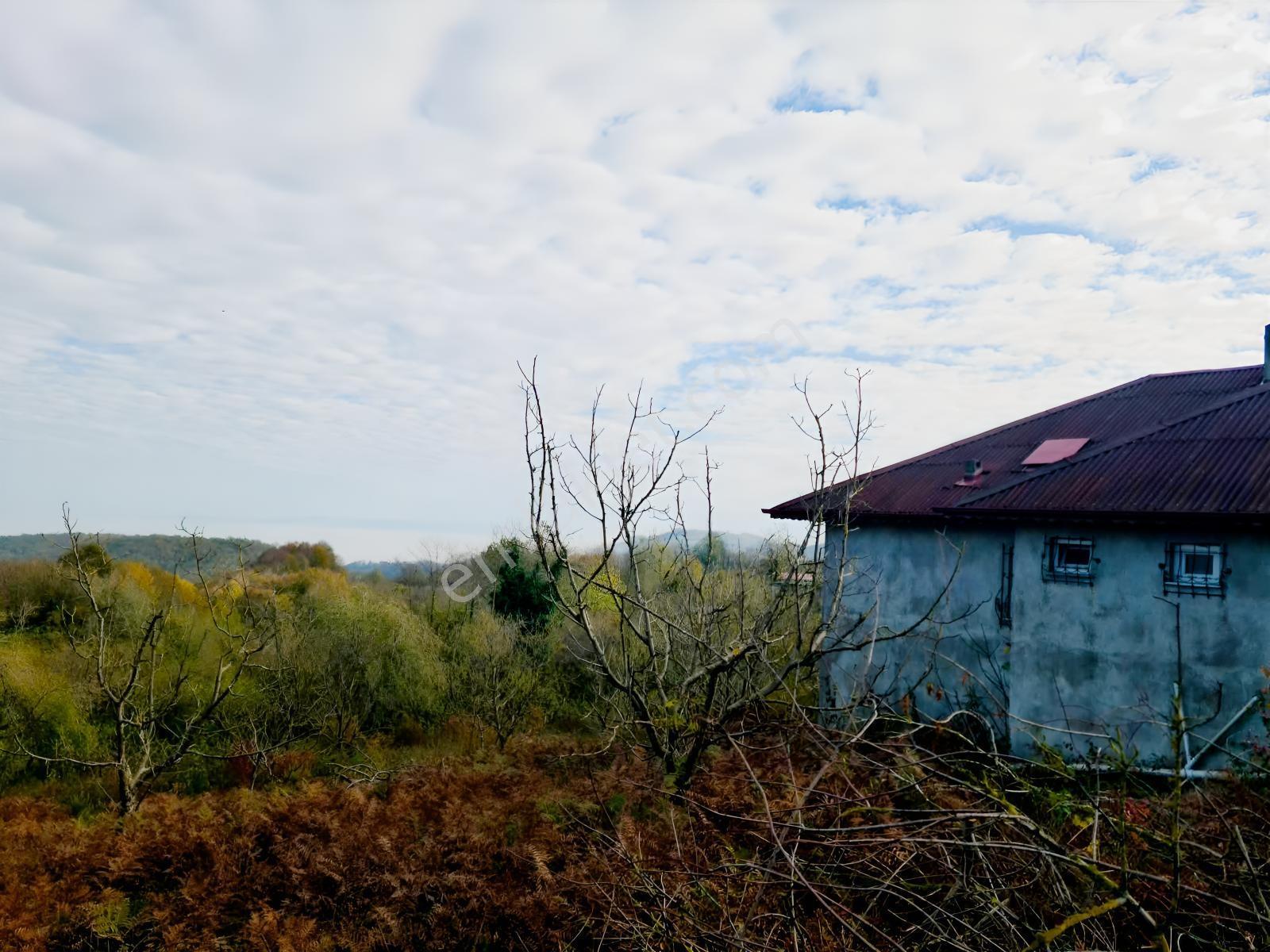 Remax Anı Dan Kocaeli Kartepe Eşmeahmediye De Satılık Arazi — fotoğraf 3
