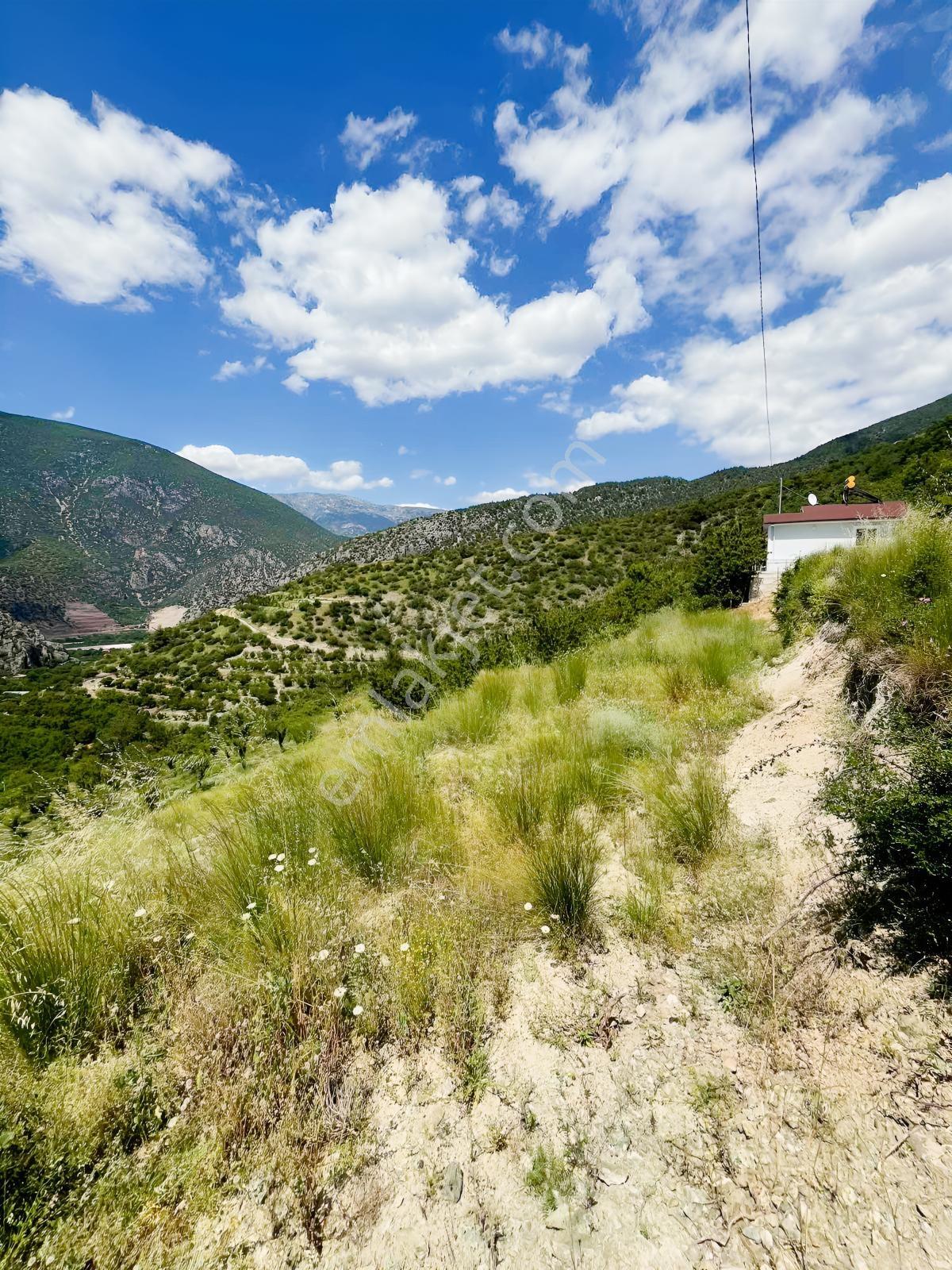 Yeşil Yenicede Marka'dan Acil Fırsat Bahçe — fotoğraf 13