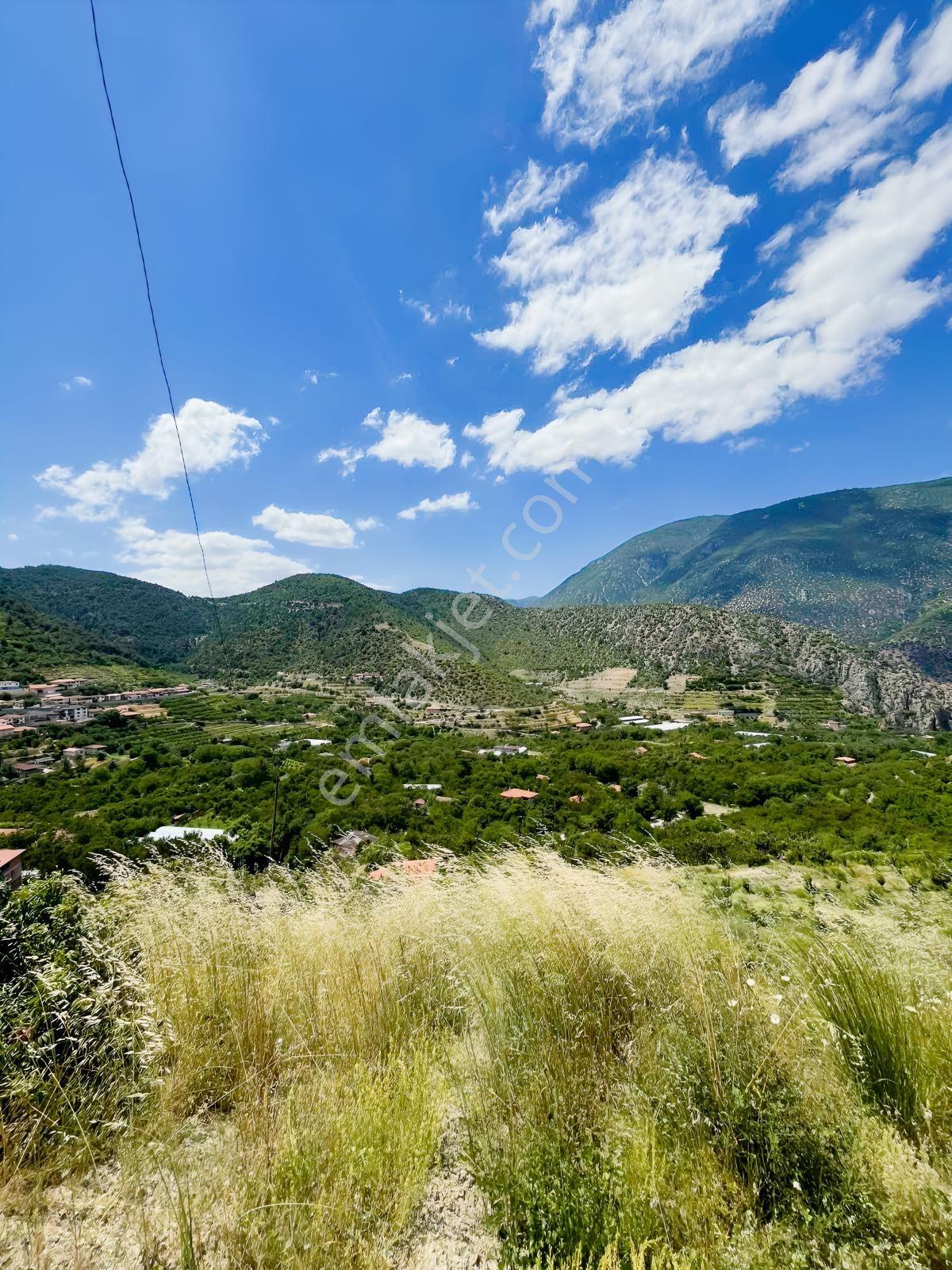 Yeşil Yenicede Marka'dan Acil Fırsat Bahçe — fotoğraf 21