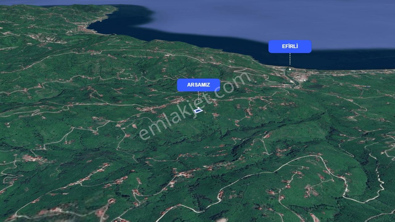 Perşembe Beyli'De Yola Cephe, 2500 M² Fındık Bahçesi