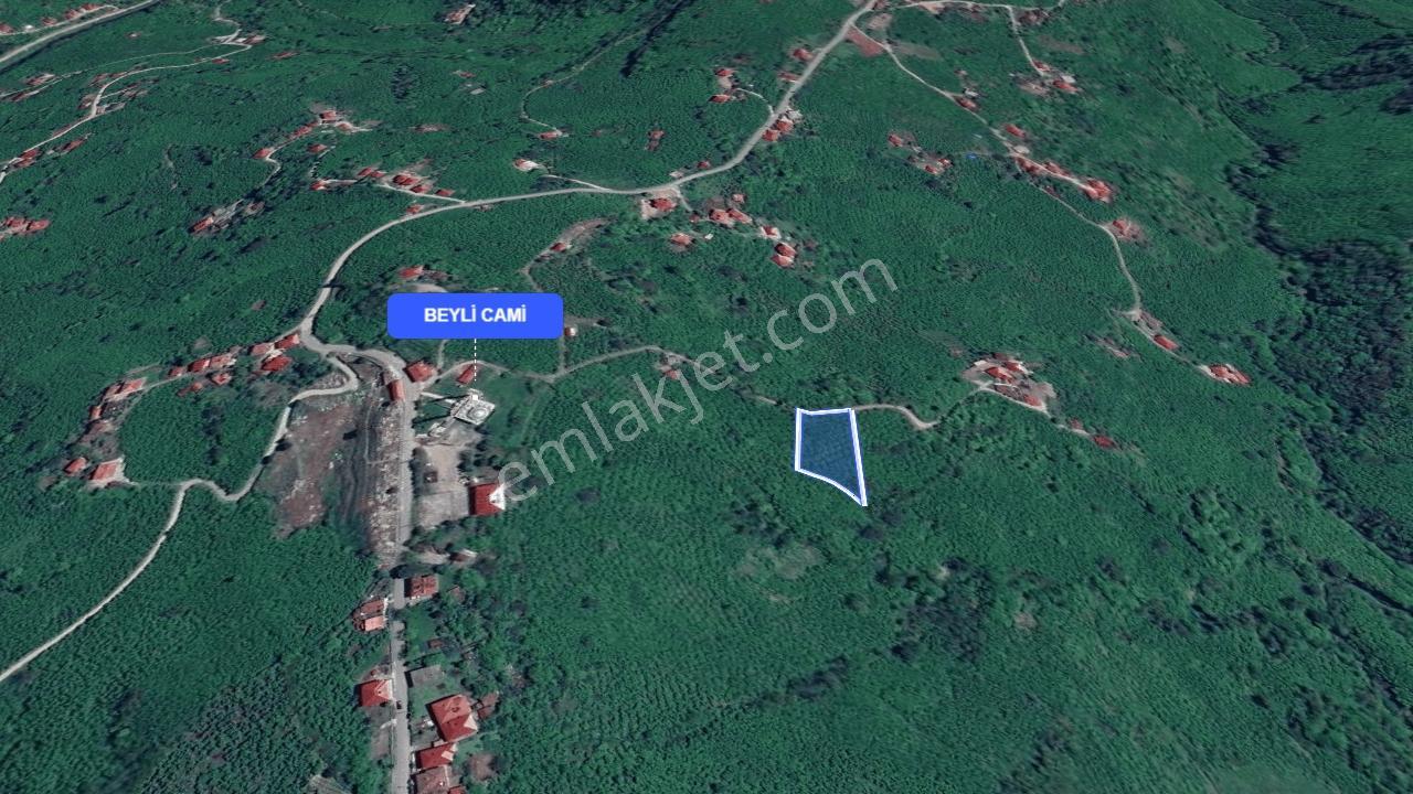 Perşembe Beyli'de Yola Cephe, 2500 M² Fındık Bahçesi — fotoğraf 2