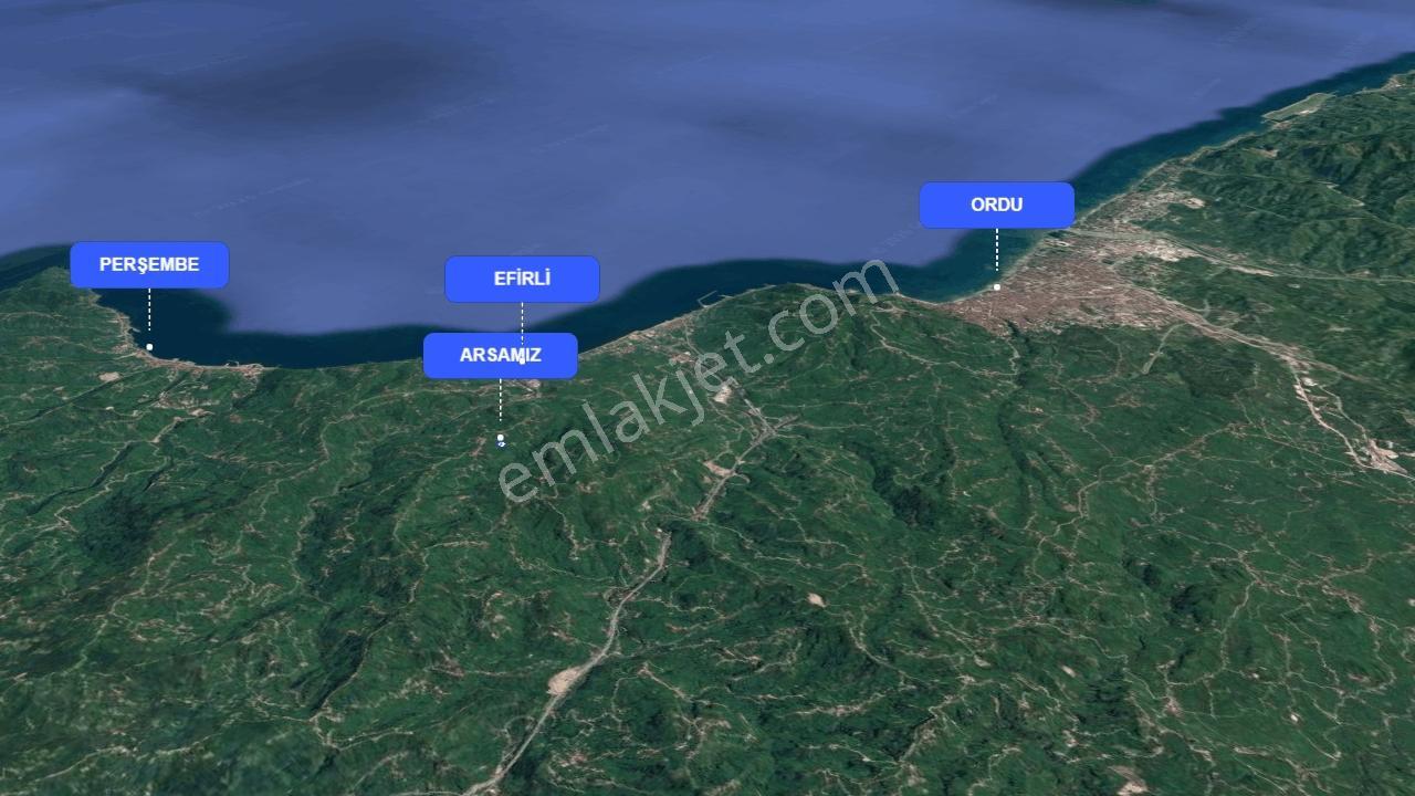 Perşembe Beyli'de Yola Cephe, 2500 M² Fındık Bahçesi — fotoğraf 4