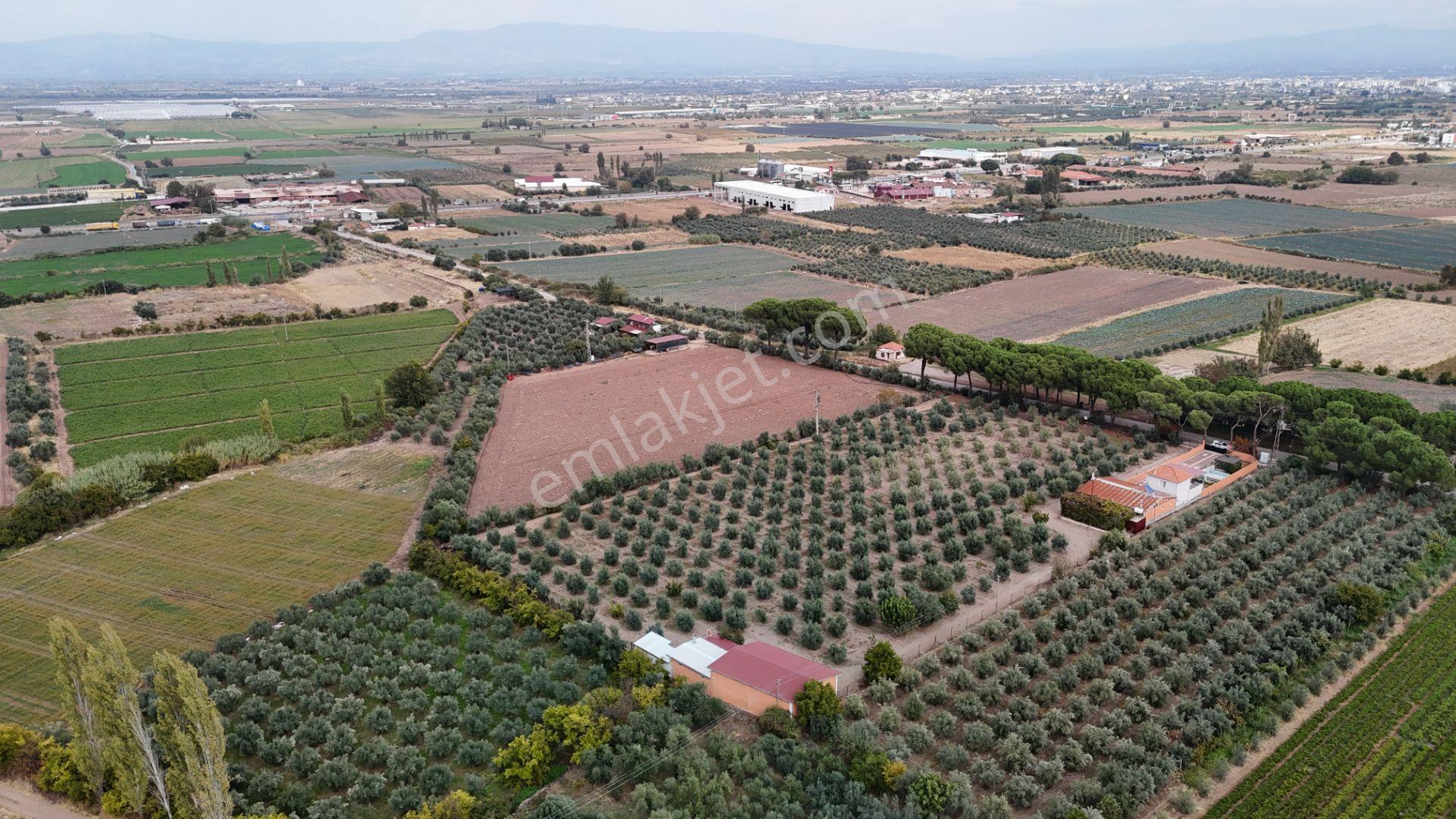 Yuvam Gayrimenkul'den Salihli Caferbey Mah. Satılık Arsalar — fotoğraf 8