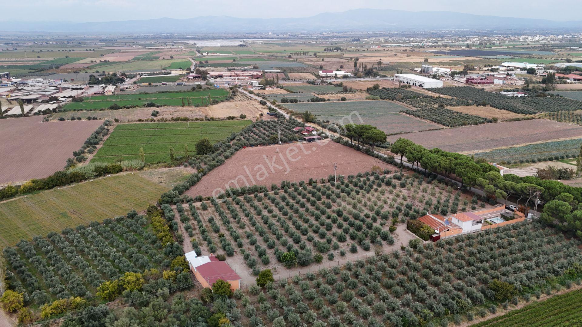 Yuvam Gayrimenkul'den Salihli Caferbey Mah. Satılık Arsalar — fotoğraf 13