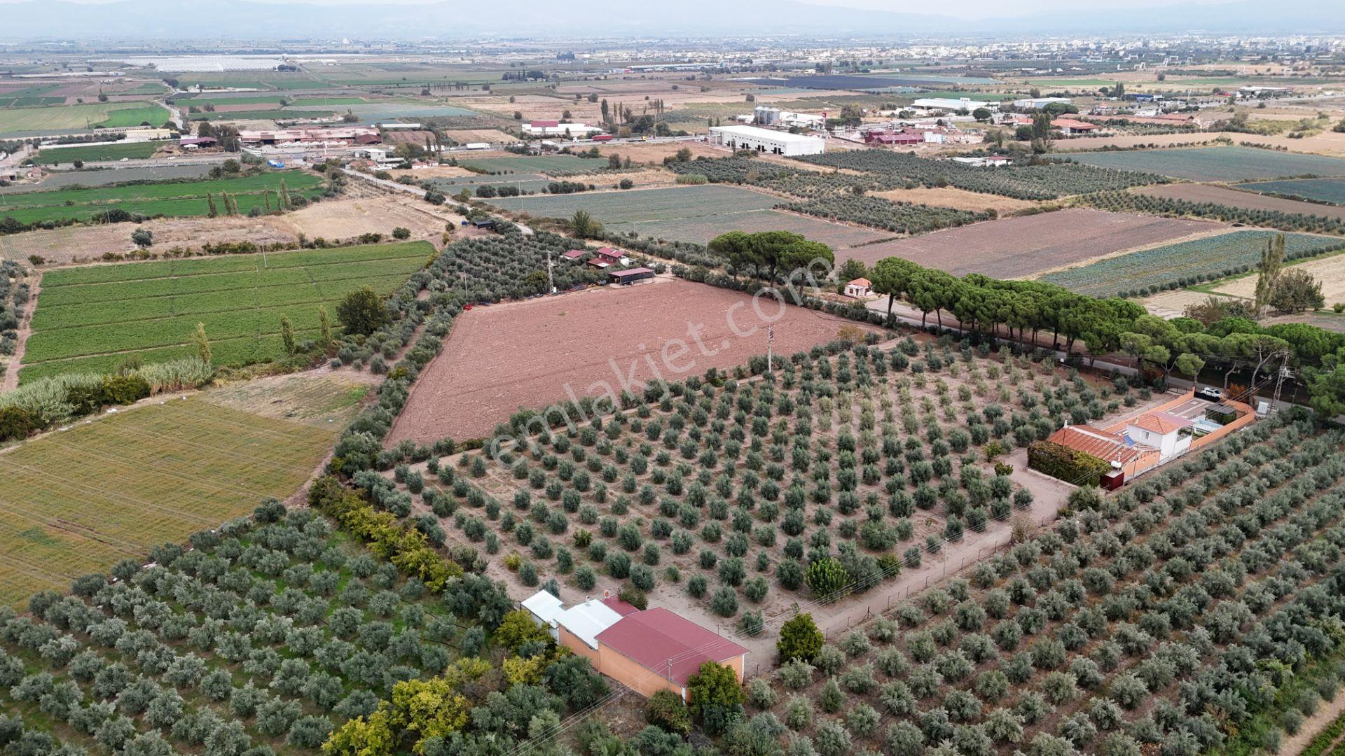 Yuvam Gayrimenkul'den Salihli Caferbey Mah. Satılık Arsalar — fotoğraf 22
