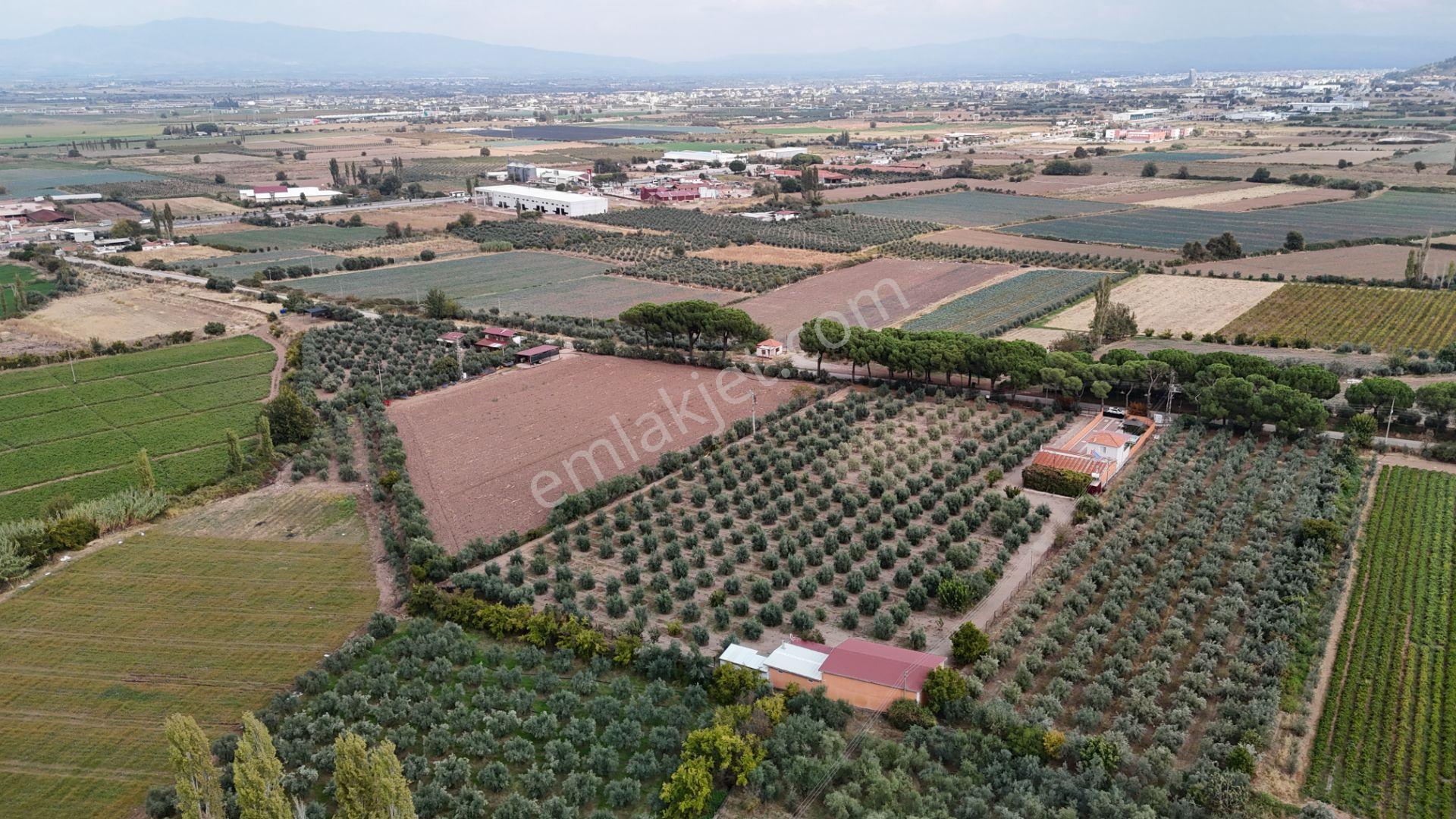 Yuvam Gayrimenkul'den Salihli Caferbey Mah. Satılık Arsalar — fotoğraf 32