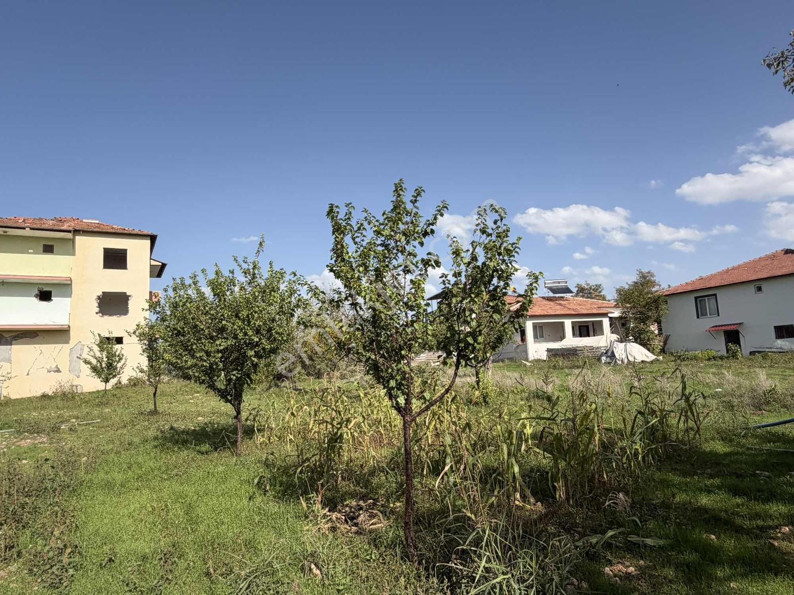 Yusuf Karadağlıdan Topsöğütte Müstakil 1270 M Satılık Bahçe — fotoğraf 6