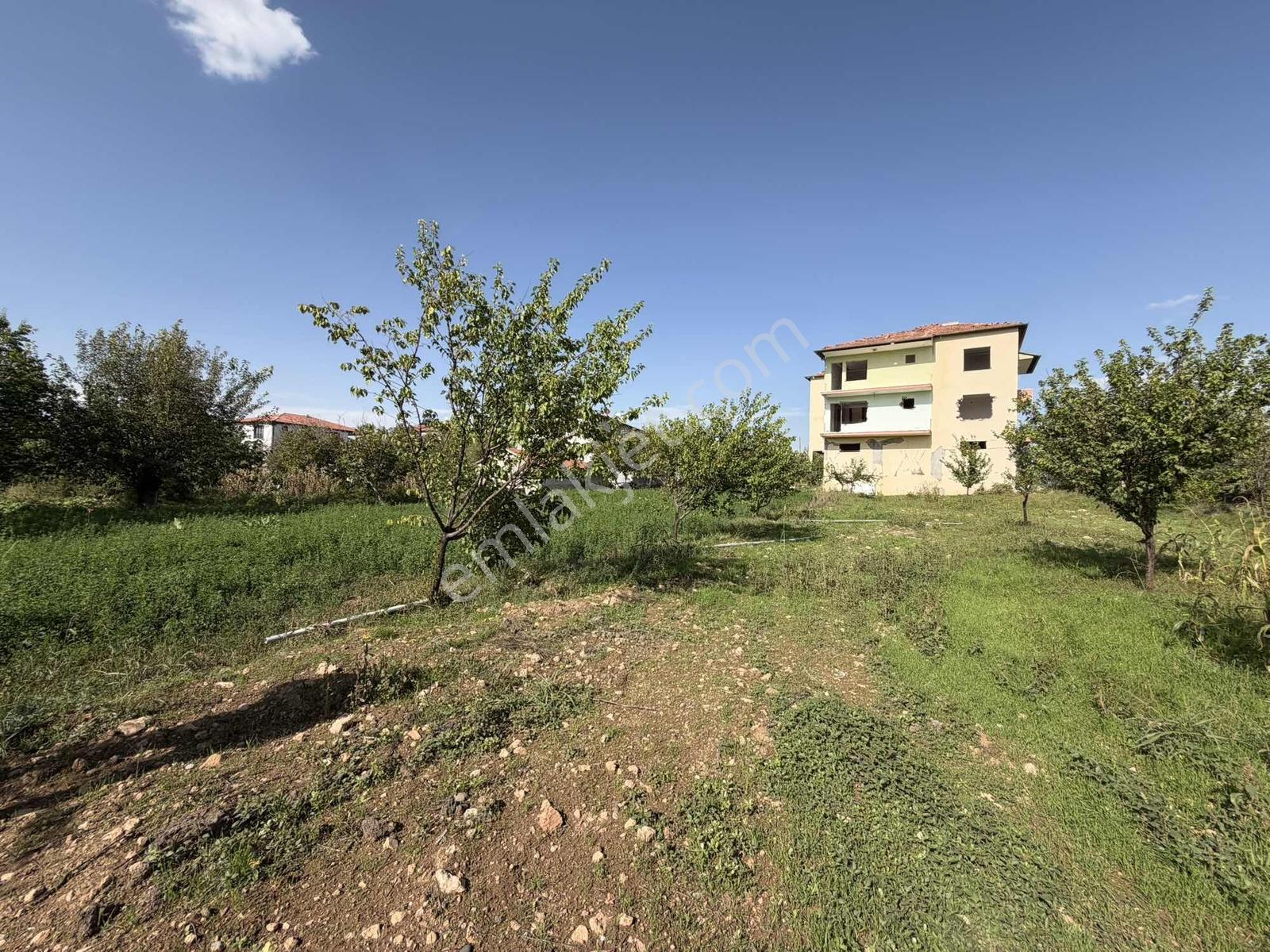 Yusuf Karadağlıdan Topsöğütte Müstakil 1270 M Satılık Bahçe — fotoğraf 10