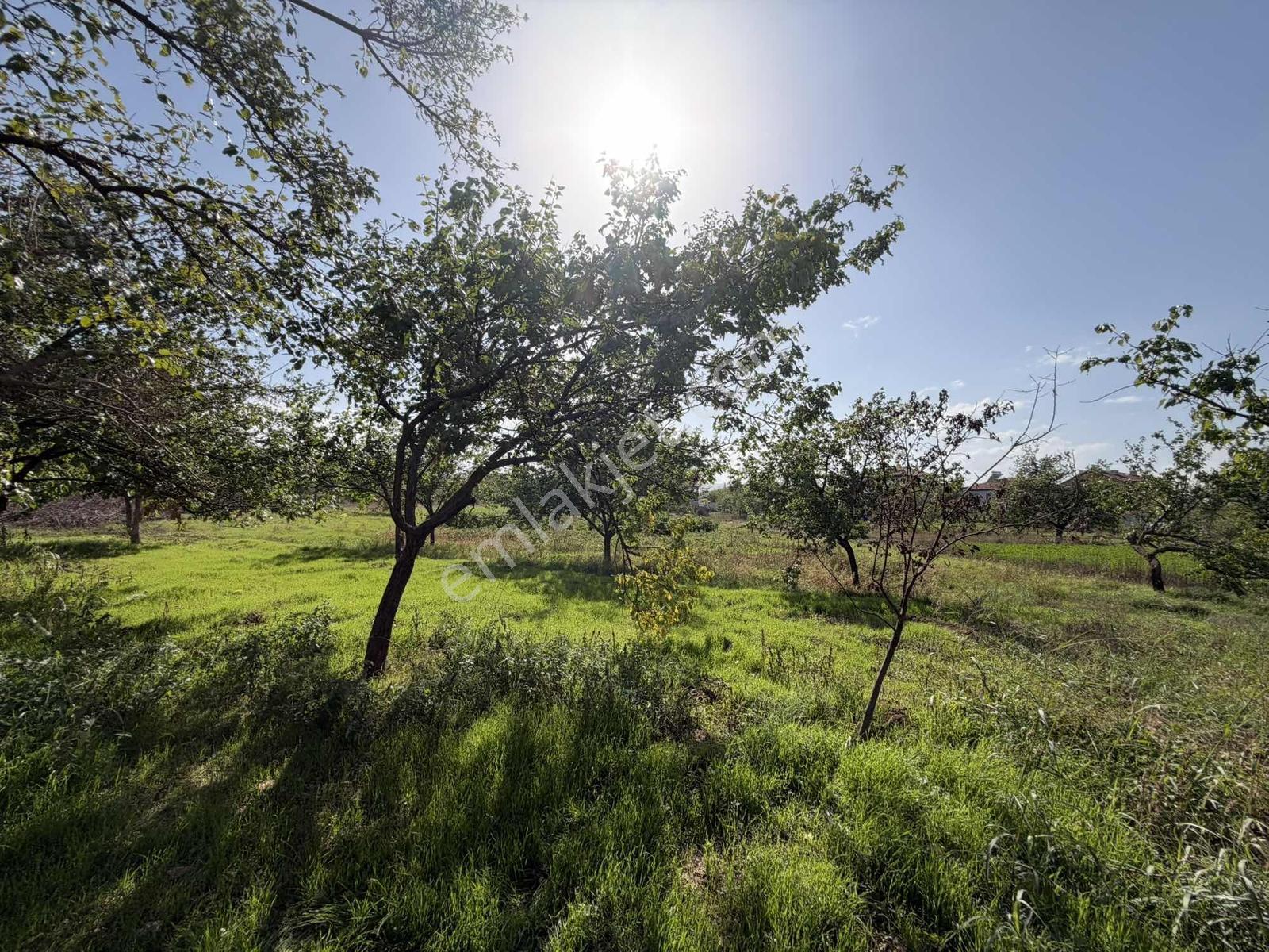 Yusuf Karadağlıdan Topsöğütte Müstakil 1270 M Satılık Bahçe — fotoğraf 12