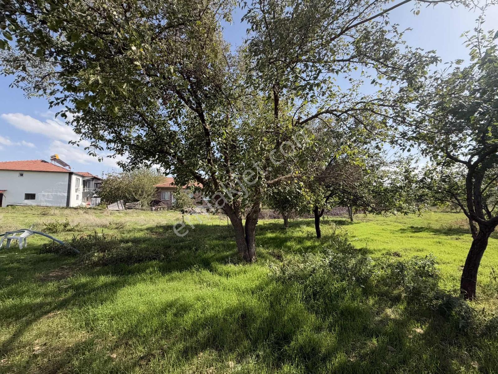 Yusuf Karadağlıdan Topsöğütte Müstakil 1270 M Satılık Bahçe — fotoğraf 13
