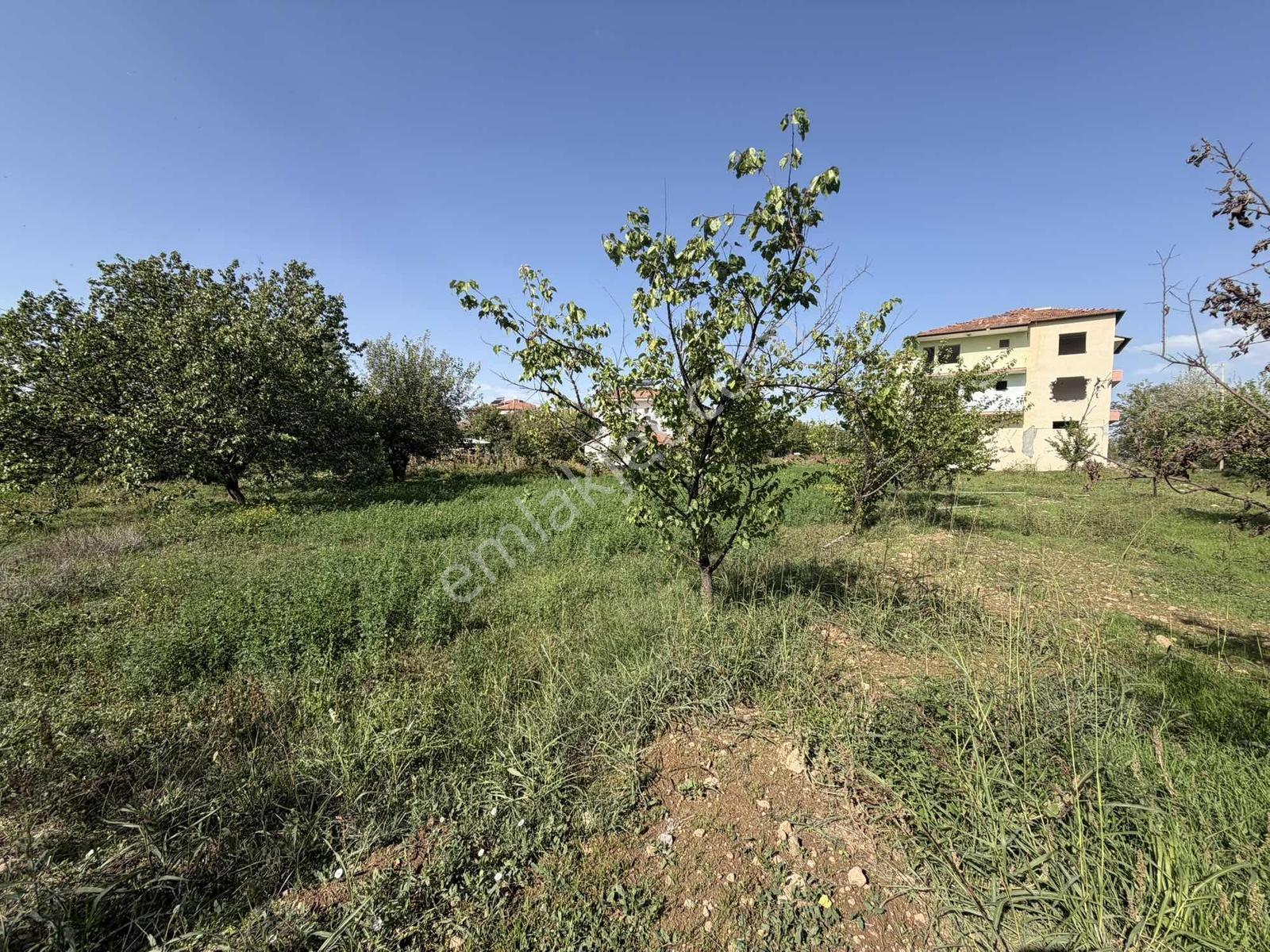 Yusuf Karadağlıdan Topsöğütte Müstakil 1270 M Satılık Bahçe — fotoğraf 19
