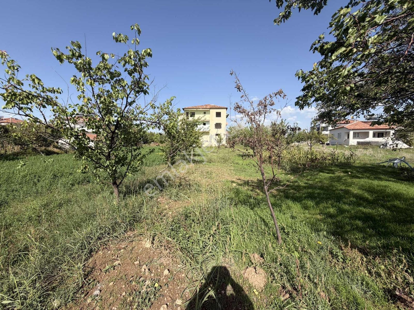 Yusuf Karadağlıdan Topsöğütte Müstakil 1270 M Satılık Bahçe — fotoğraf 20