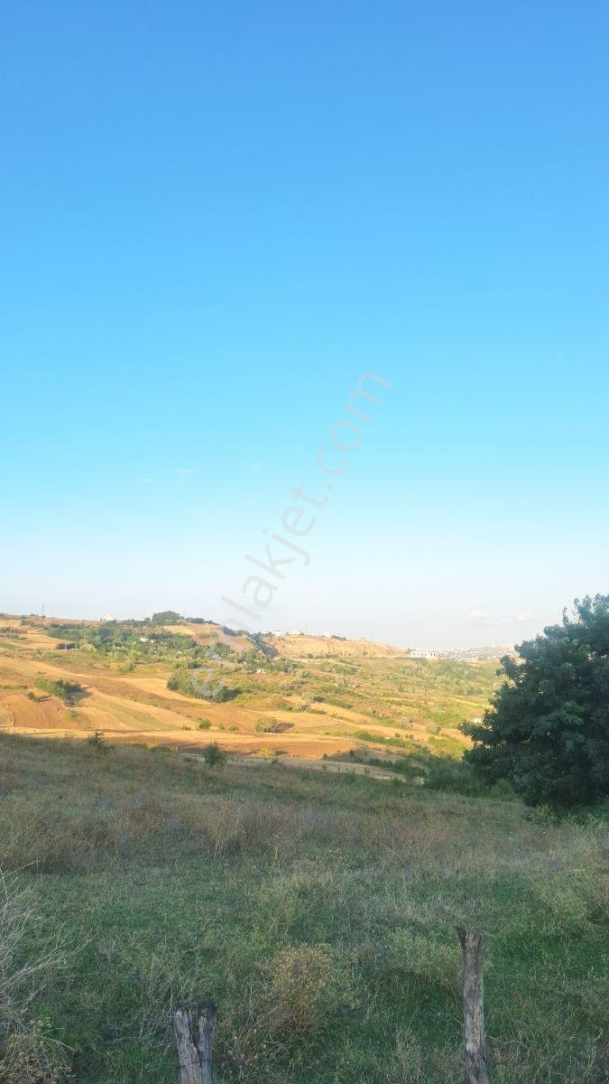 Kadamut Köyünde Satılık Tarla — fotoğraf 2