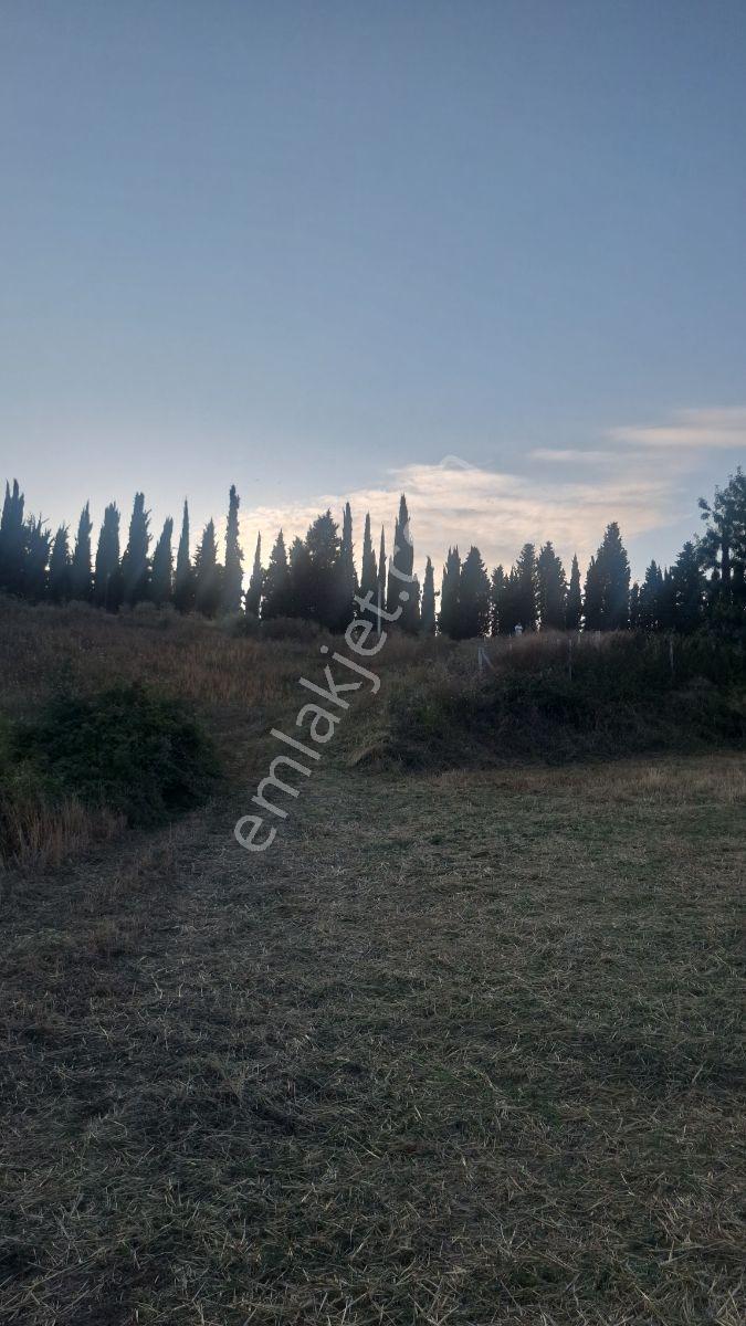 Kadamut Köyünde Satılık Tarla — fotoğraf 3