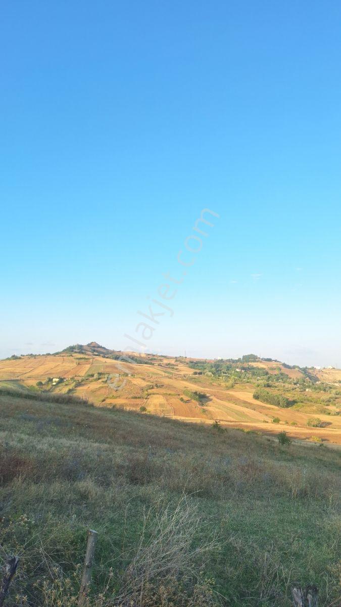 Kadamut Köyünde Satılık Tarla — fotoğraf 4